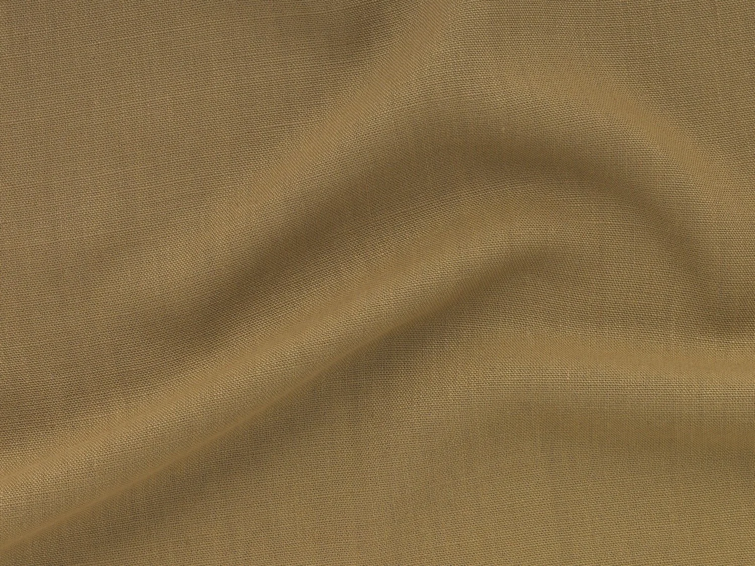 Terra-Honey-1.jpeg