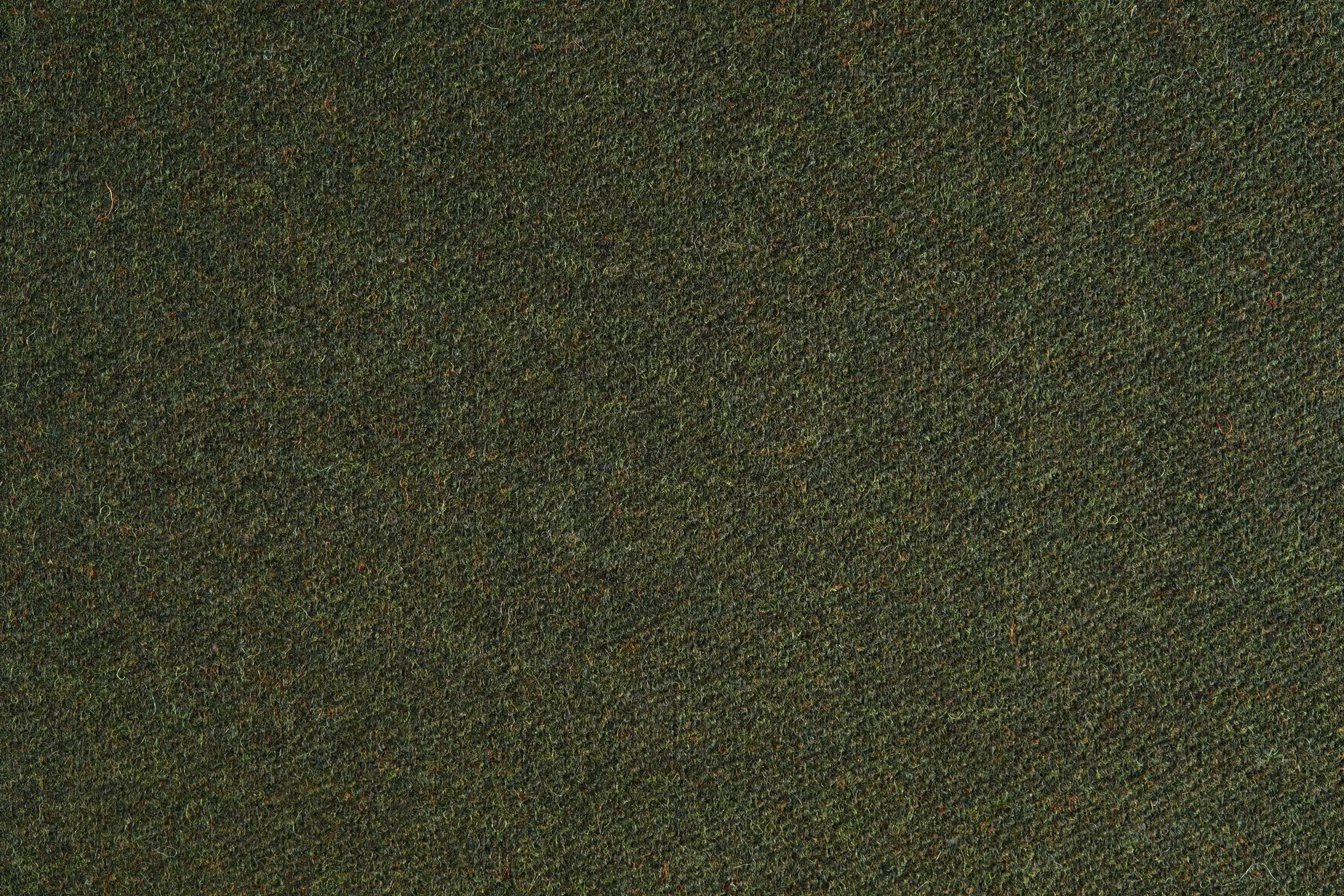 AKI | MOSS