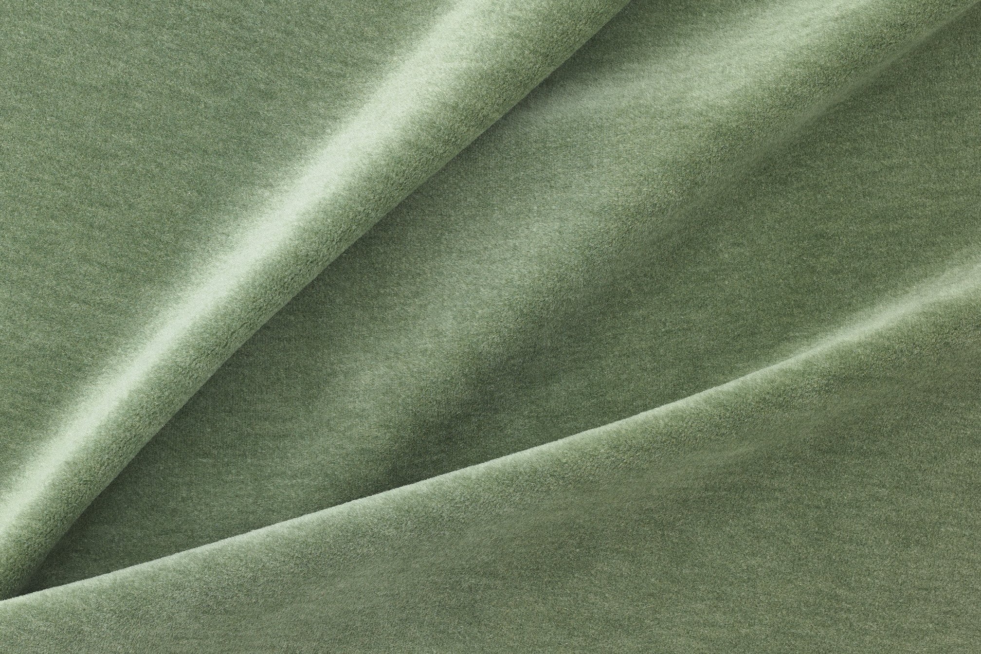 HINTERLAND | RAINFOREST