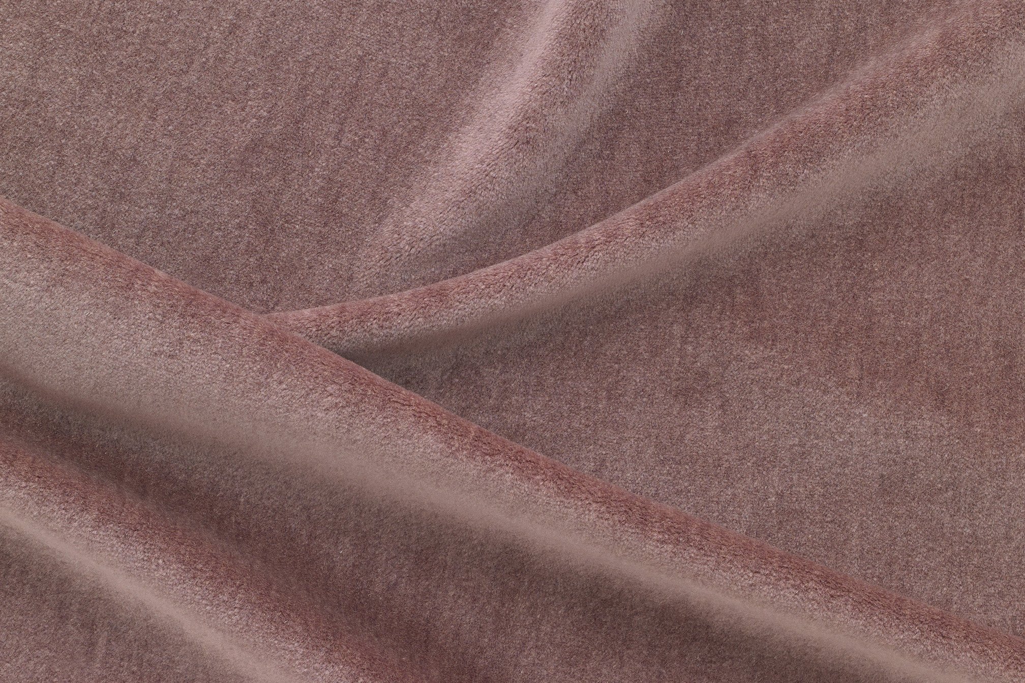 HINTERLAND | SMOKEBUSH