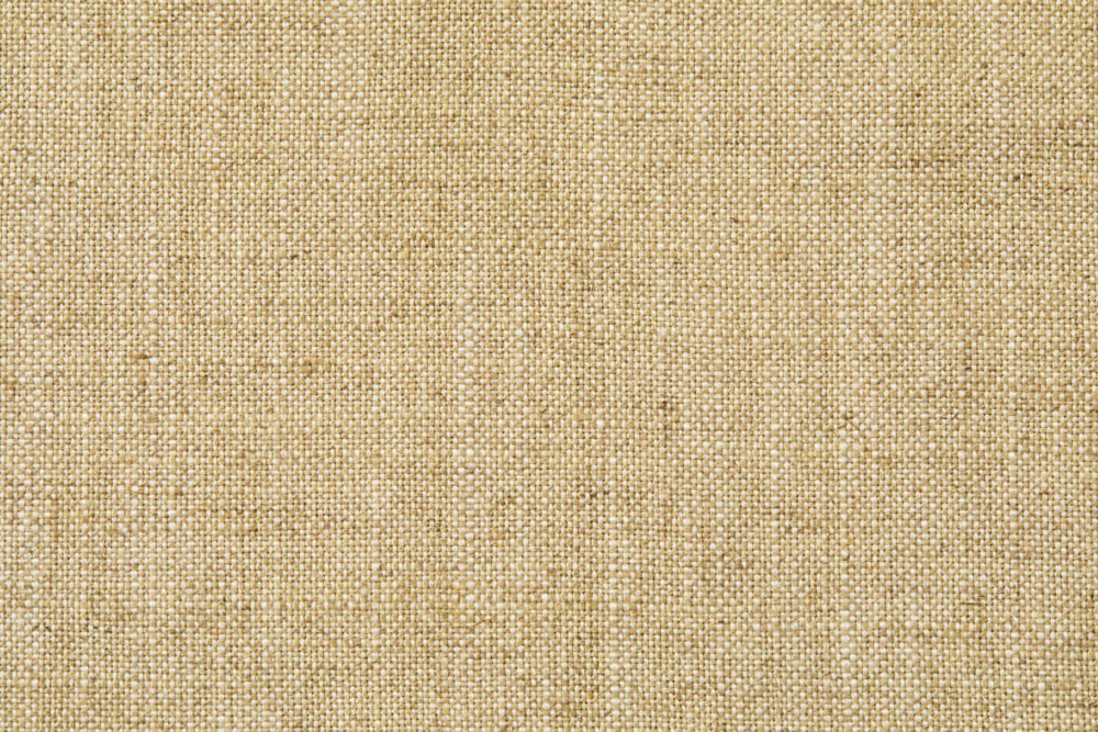 MONSOON MIST | BAMBOO