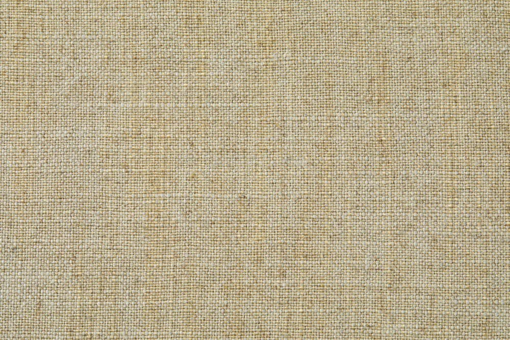 MONSOON MIST | PALM
