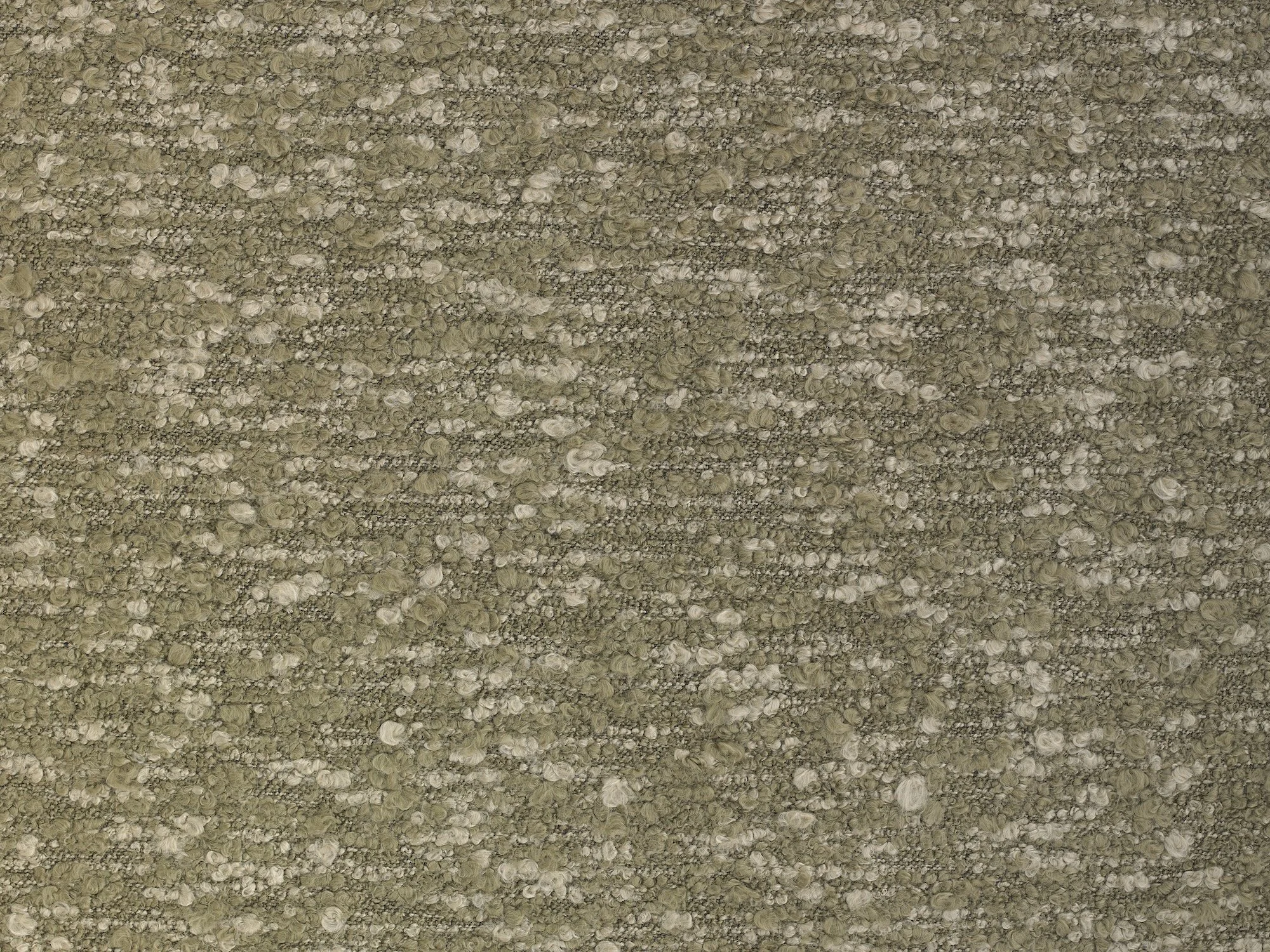 PECORA | OLIVE
