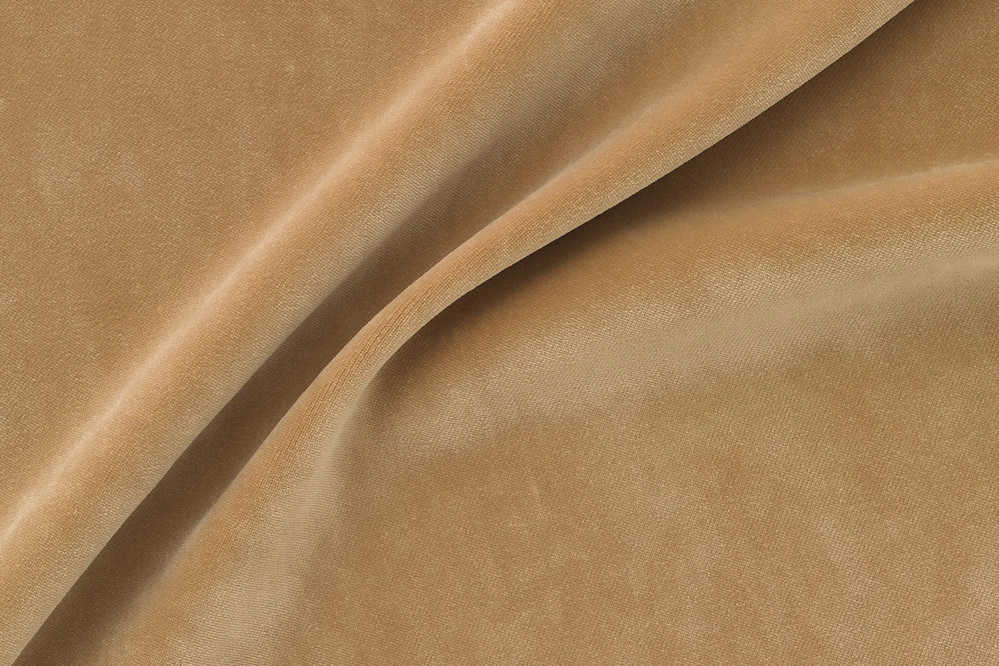 SAVANNA VELVET WARM | BANKSIA