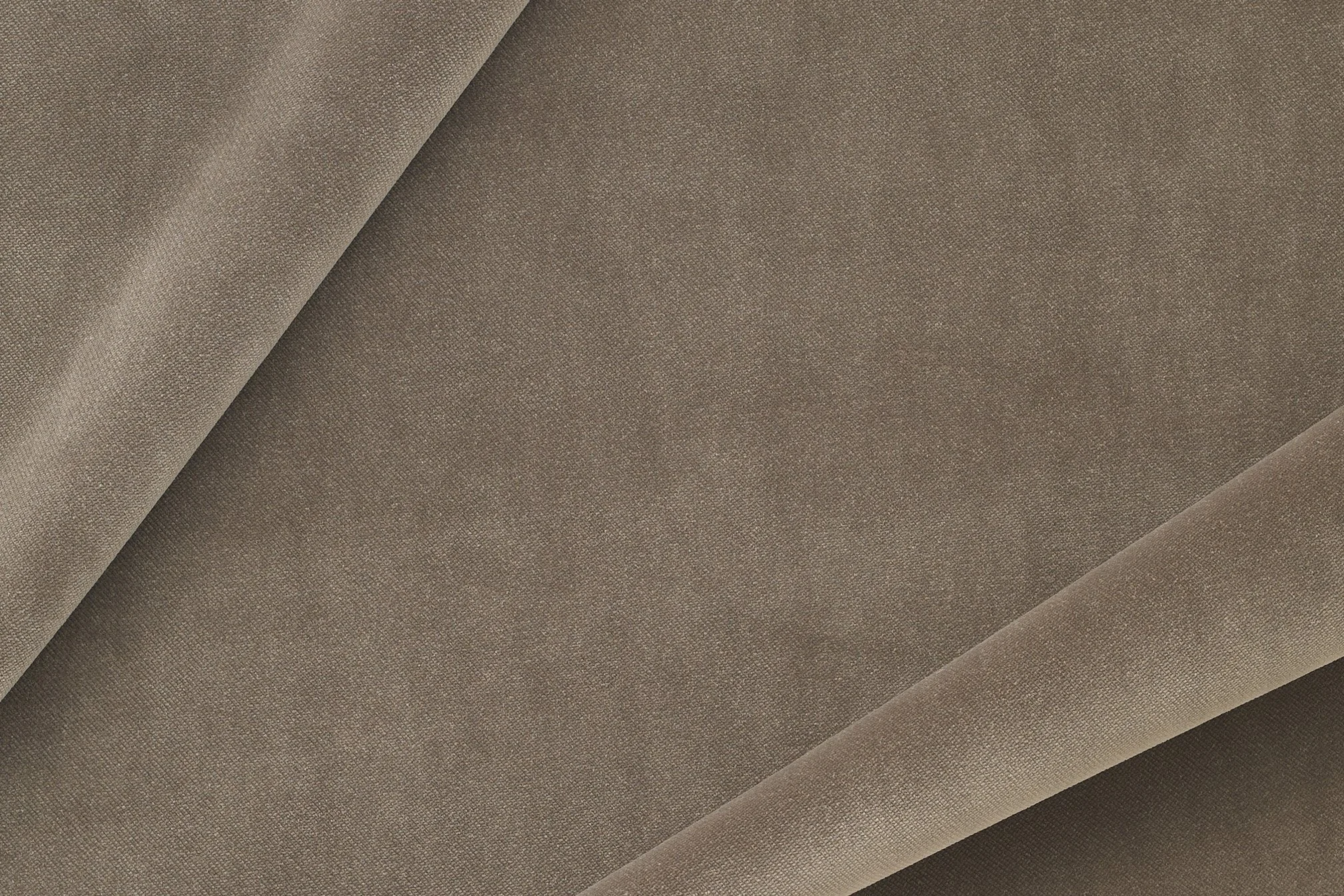 SAVANNA VELVET COOL | GUM