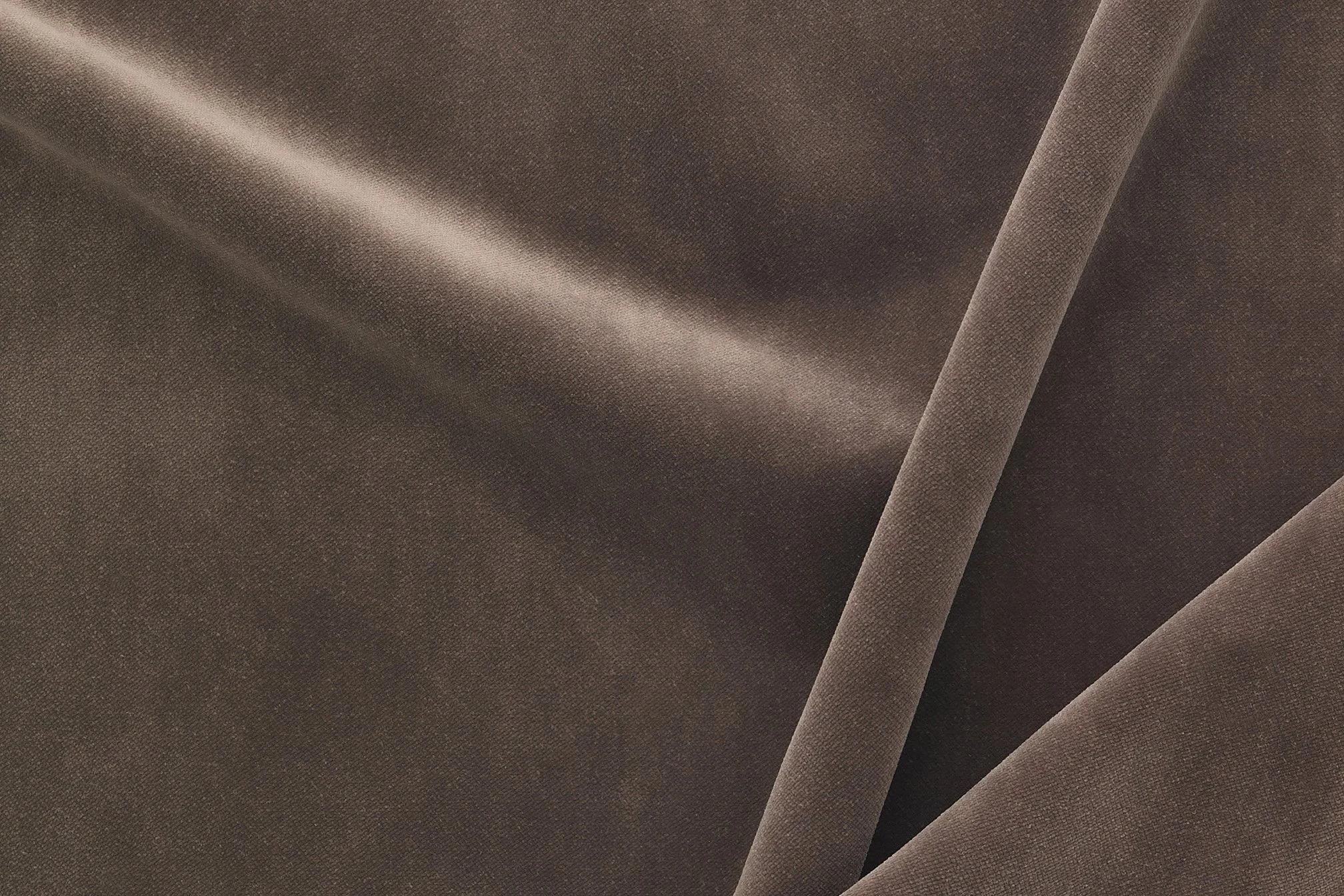 SAVANNA VELVET COOL | JACARANDA