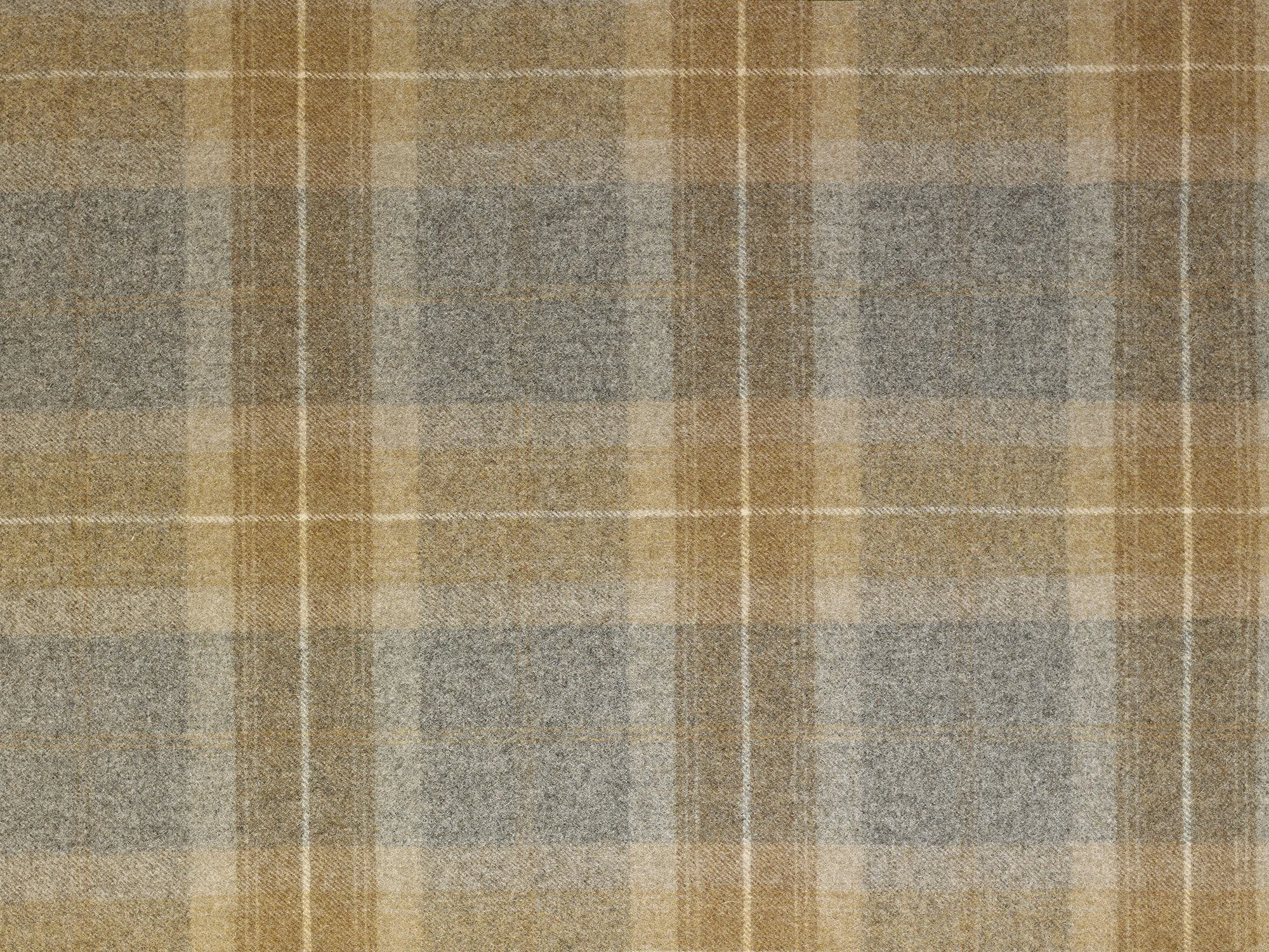 TARTAN | BALMORAL