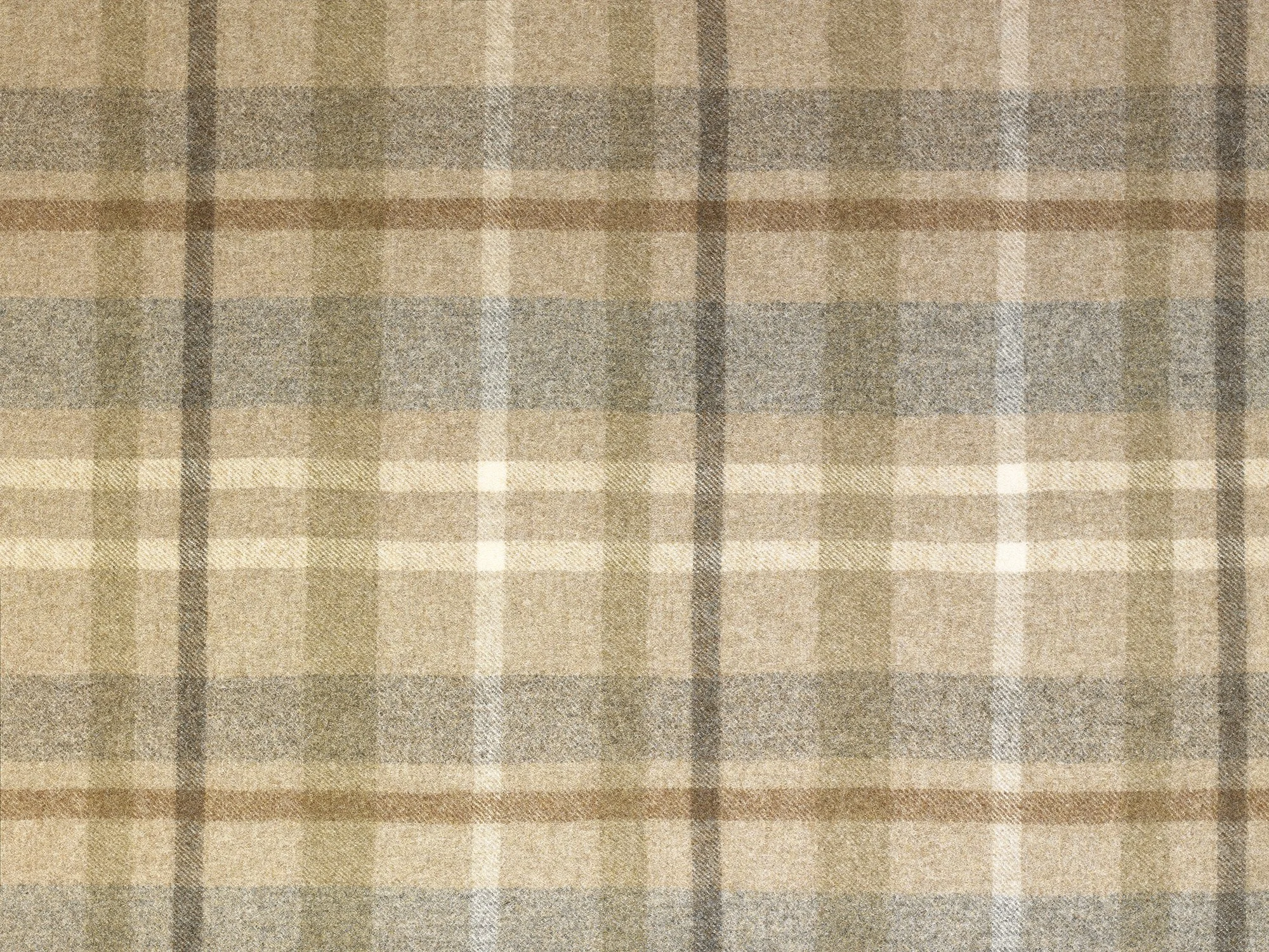 TARTAN | GLENCOE