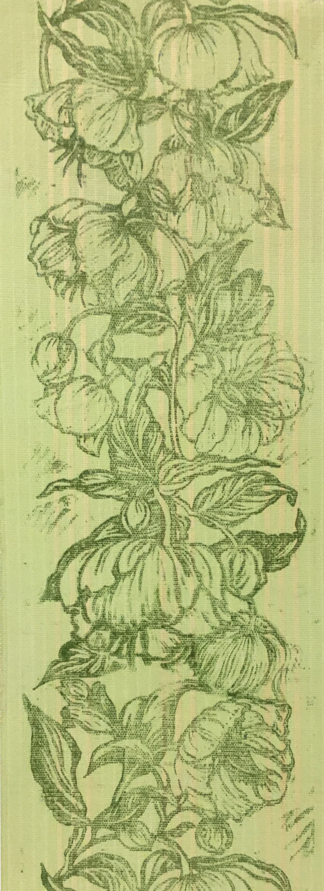 Hellebore_Aso-oke1.jpg