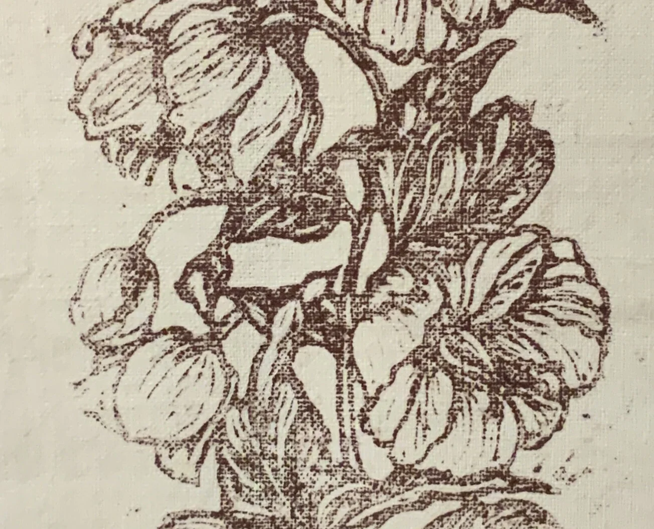 Hellebore on French Linen
