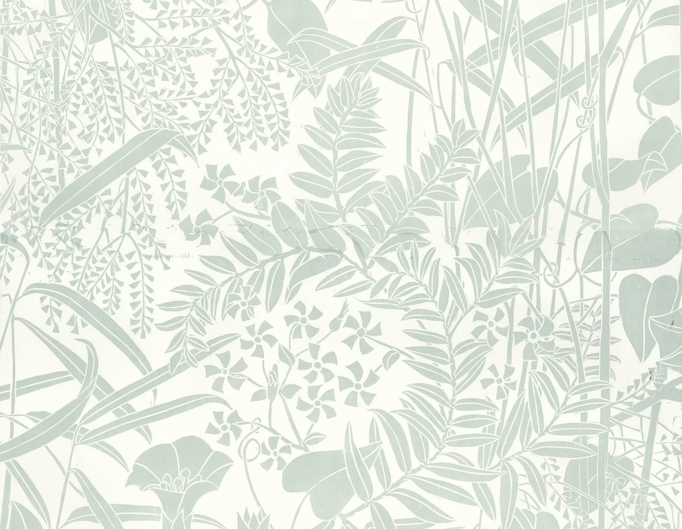 Bamboo