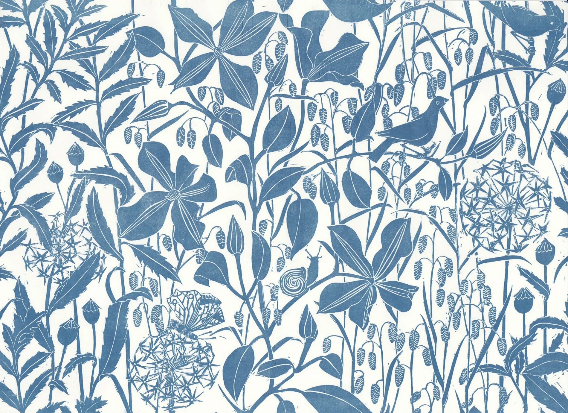 Clematis