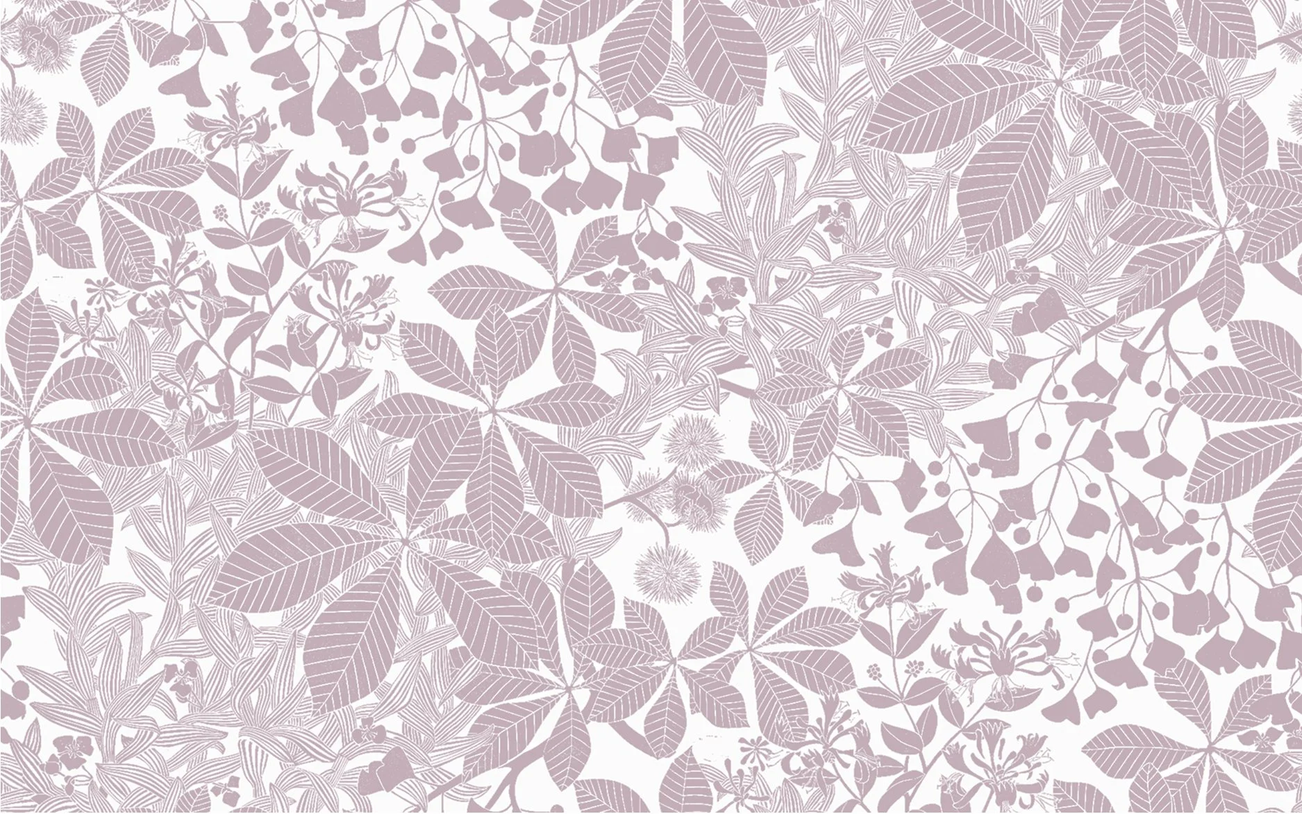 Lavender Grey