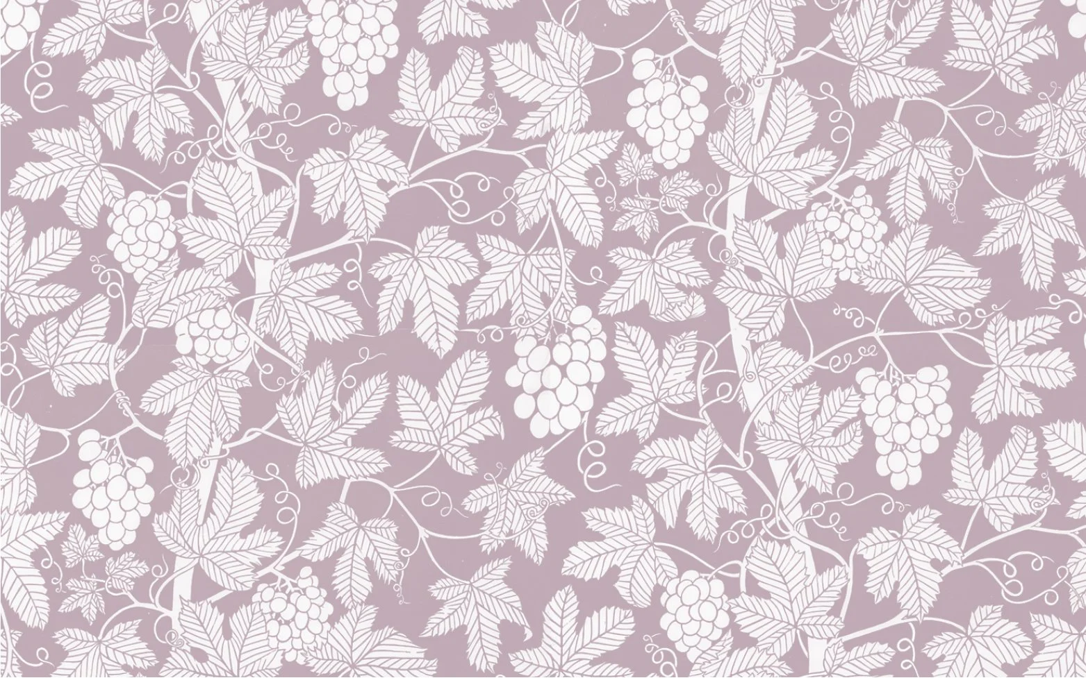Lavender Grey