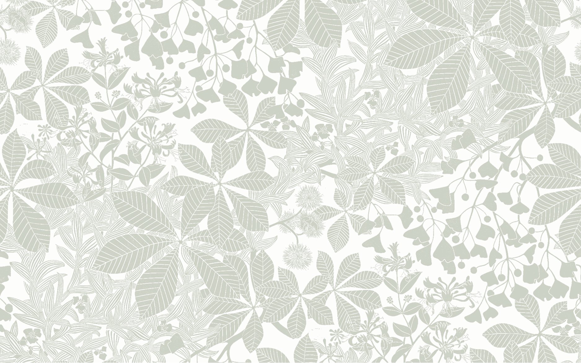 Chestnut | Pale Grey