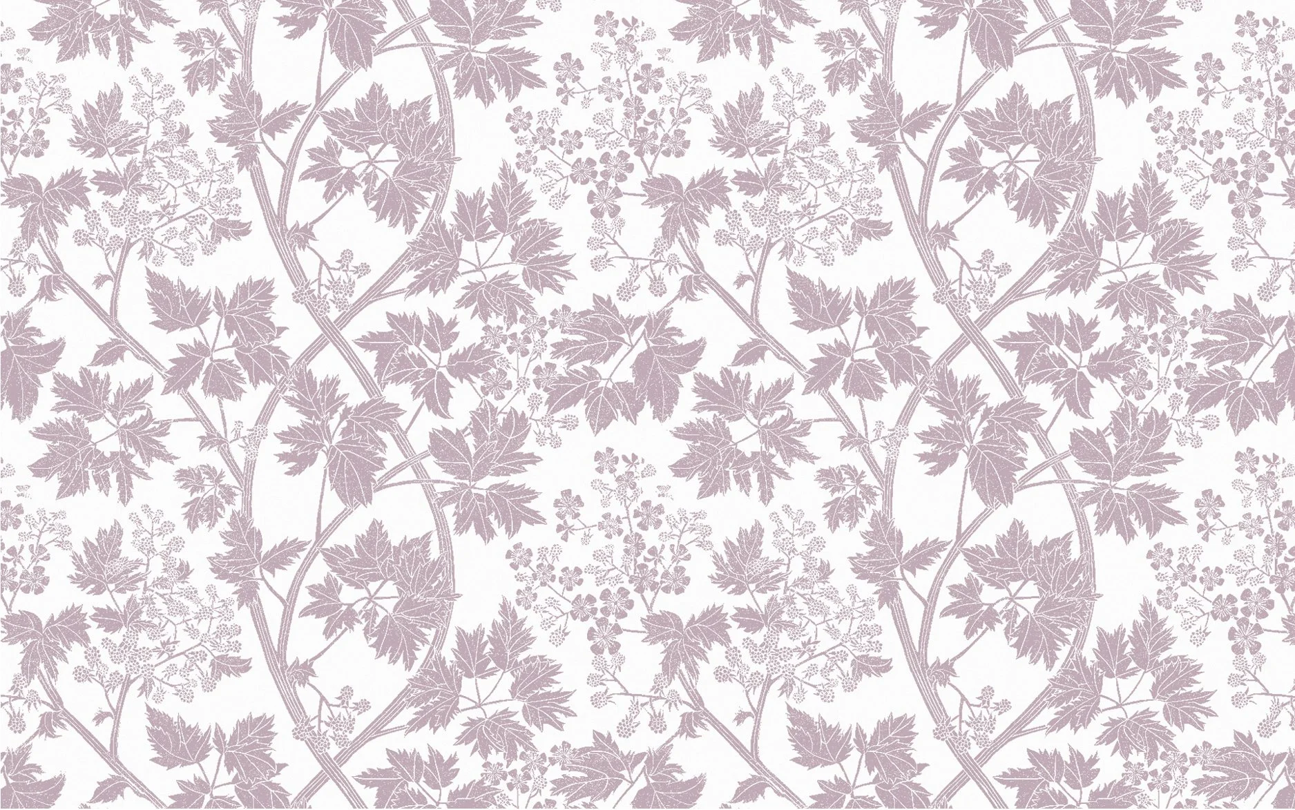 Lavender Grey