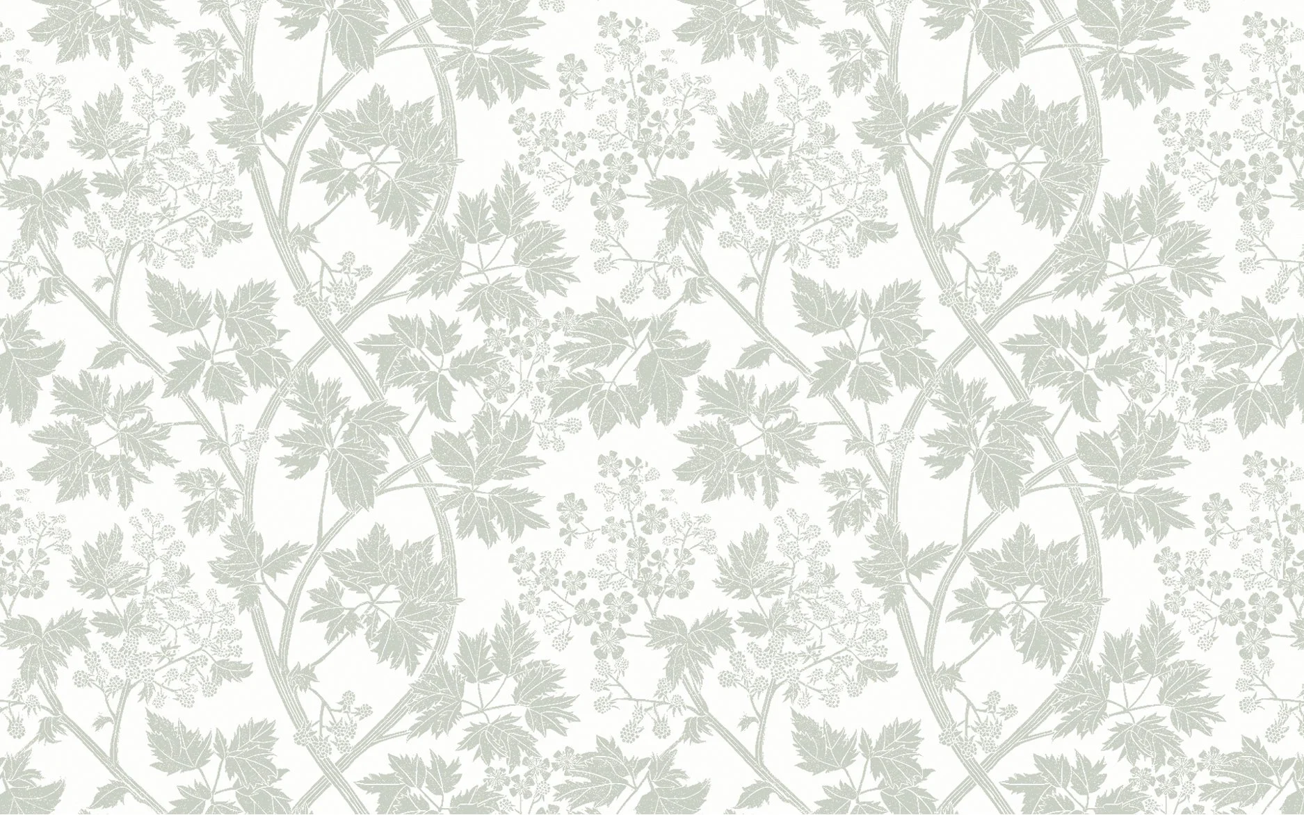 Pale Grey