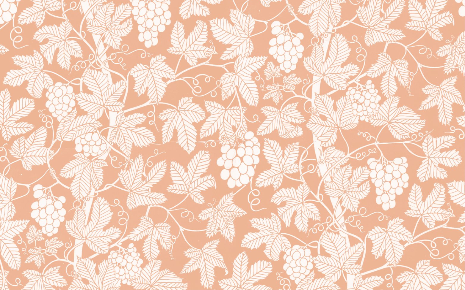 Grapevine |  Digital Print