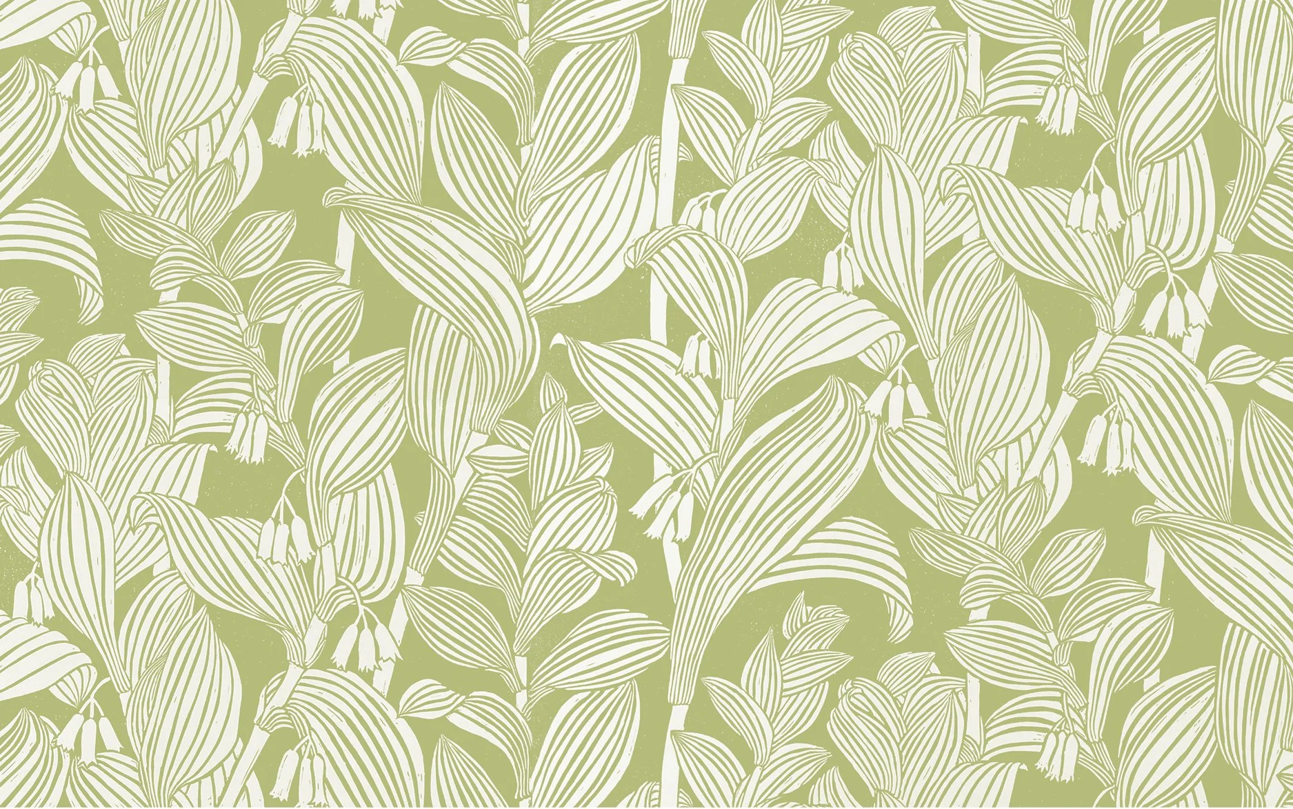 Solomon Seal in  Spring Green