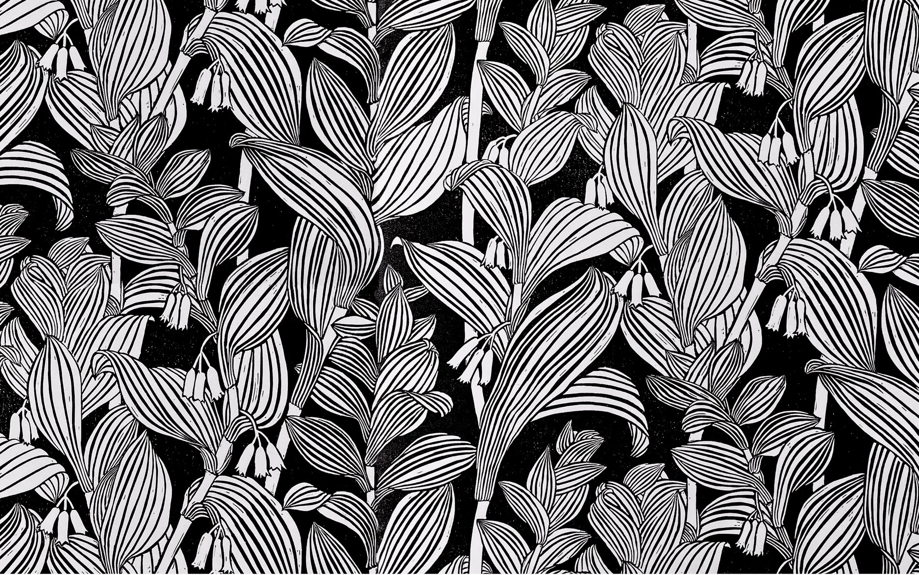Solomon Seal in Black