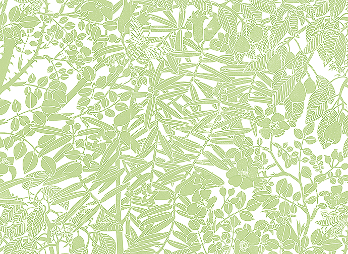 MA-Wild-Pear-Meadow-HB08+copy.png