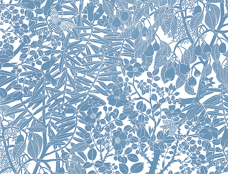 MA-Wild-Pear-Denim-HB05+copy.png