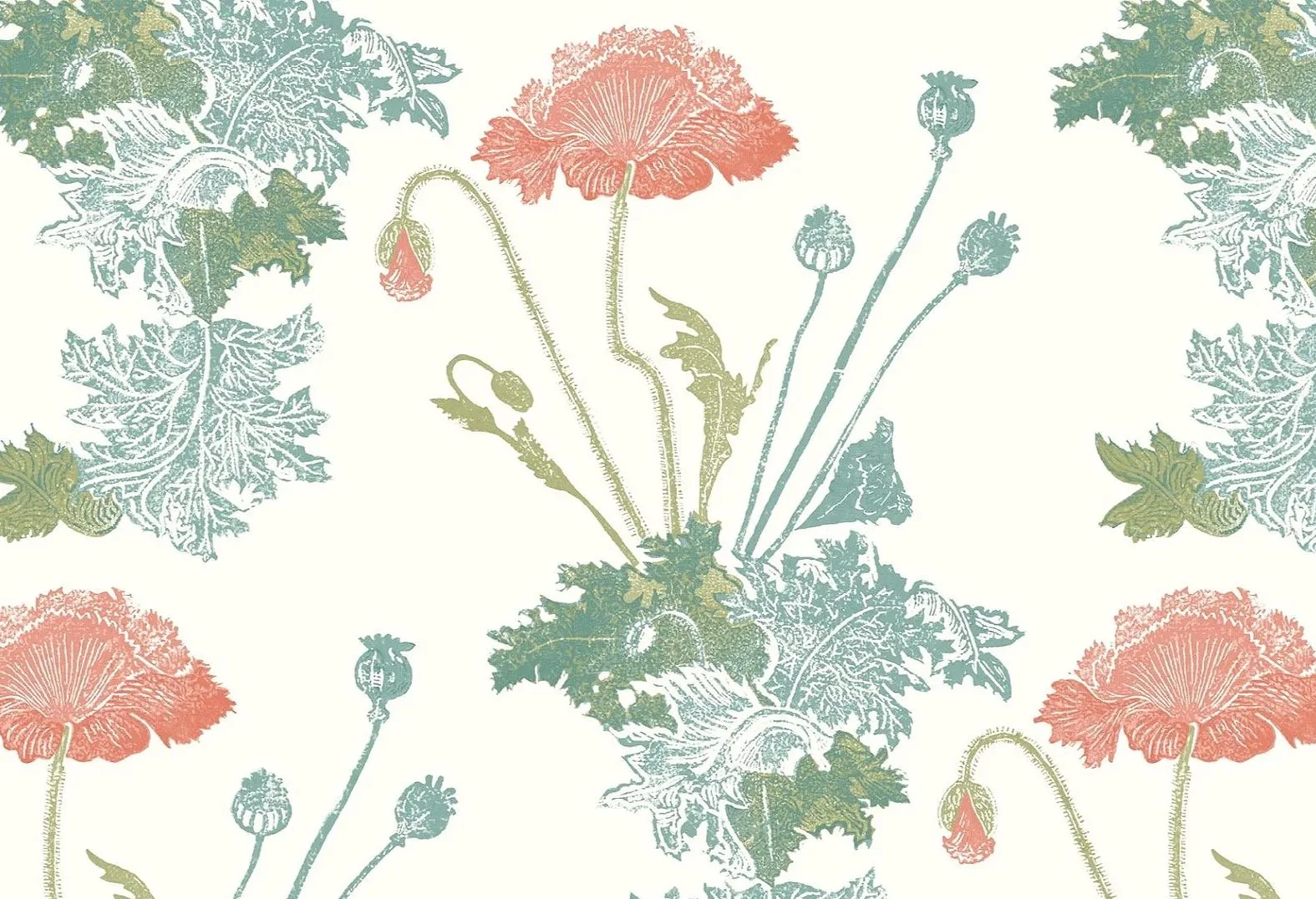 JENNY'S POPPY | Coral