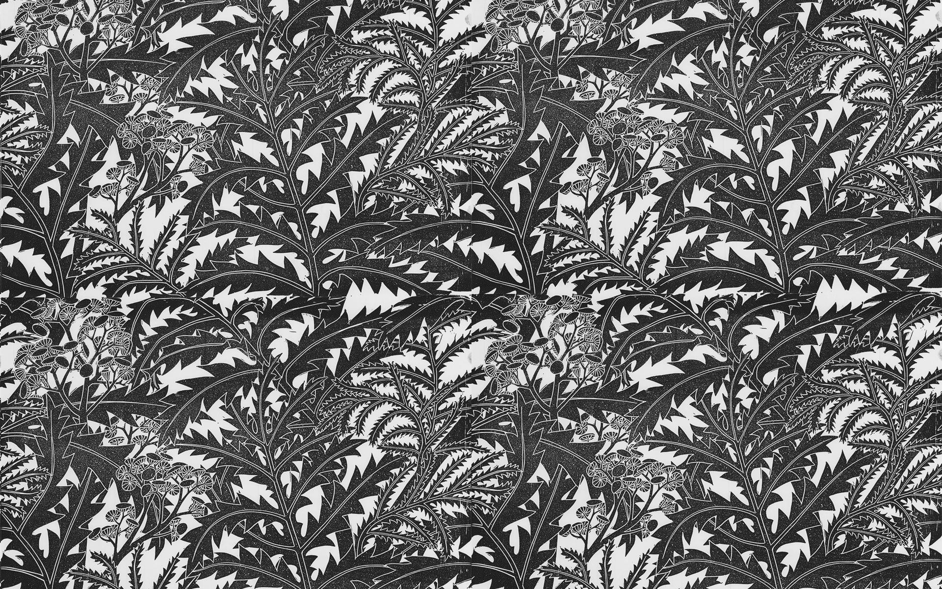 Tansy_1920x1200_2Repeats_95Black.png