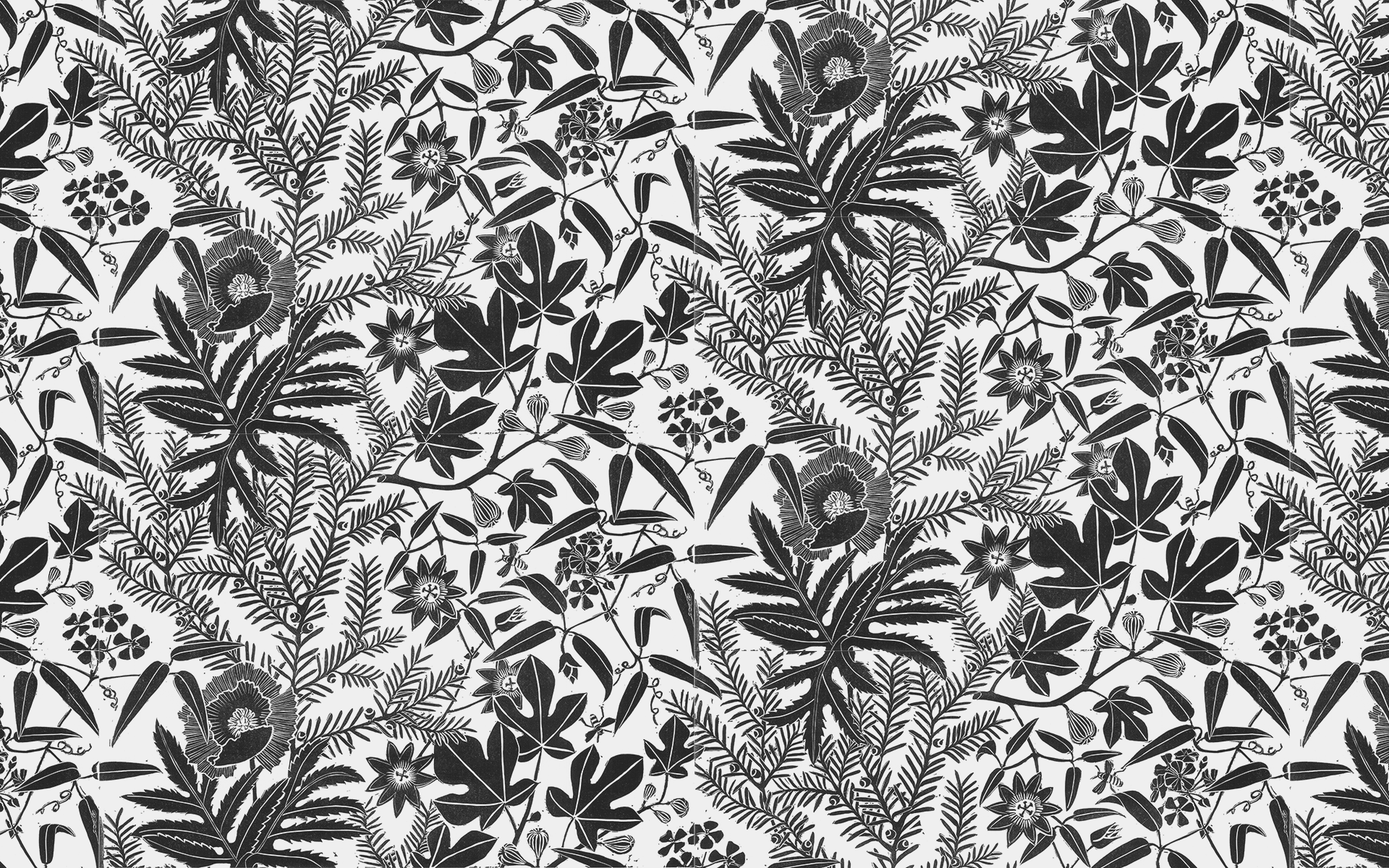 Poppy_1920x1200_2Repeats_95_Black.png