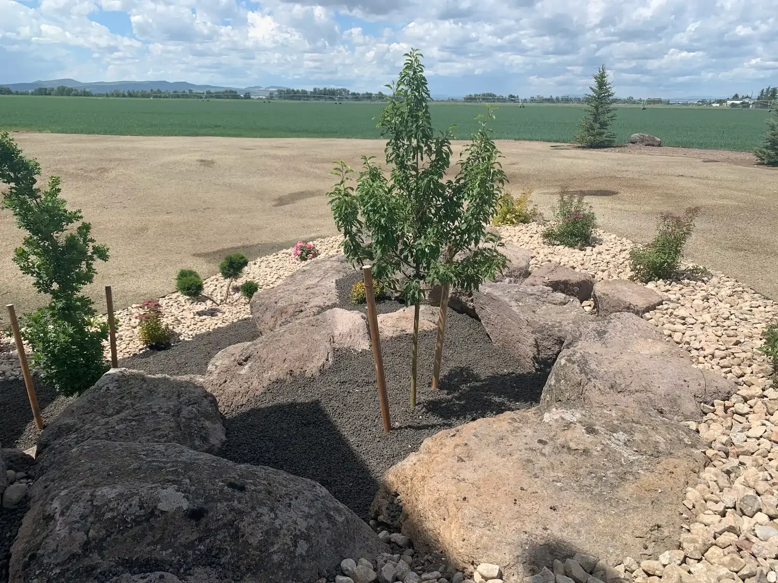 65F05AF8-4D81-4505-B1F3-31357D3188F1.webp