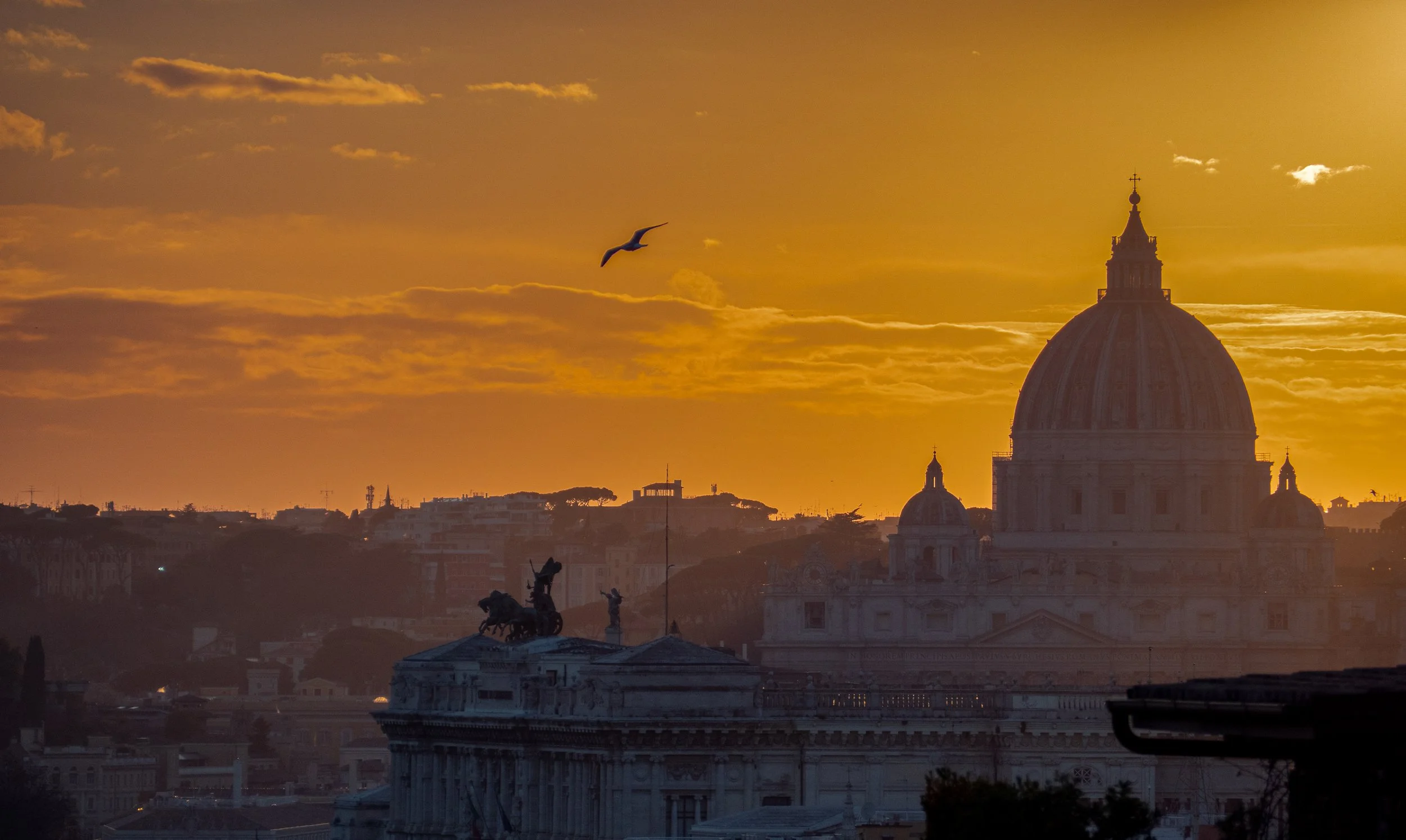 Sera con cielo arancione che mostra un paio di nuvole e un gabbiano che vola sopra i tetti di Roma, con la cupola di Sant'Andrea delle Fratte in primo piano.