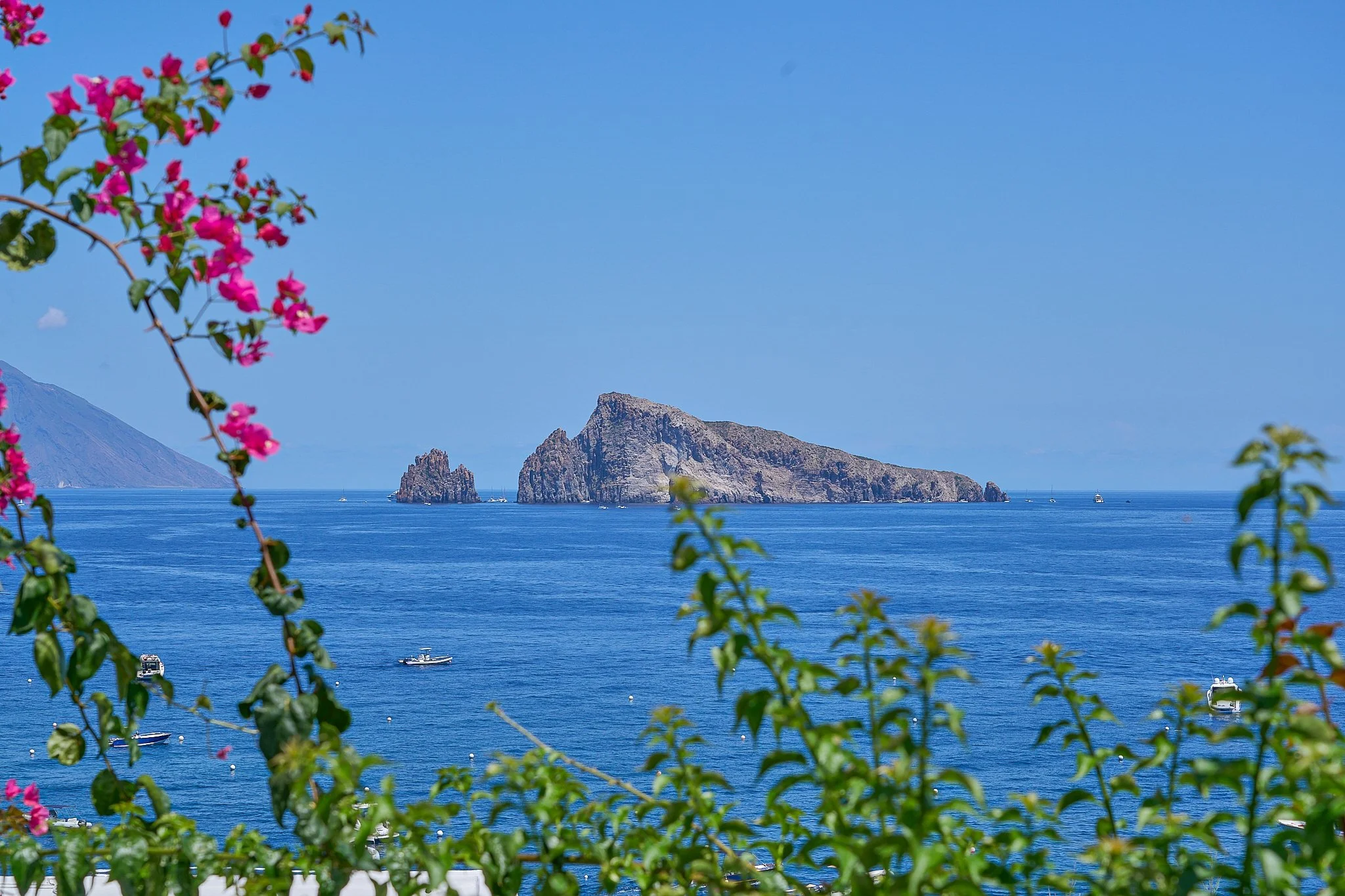 Vista del mare con alcune imbarcazioni, isolotti rocciosi e un promontorio montuoso sullo sfondo, incorniciata da rami e fiori rosa in primo piano.