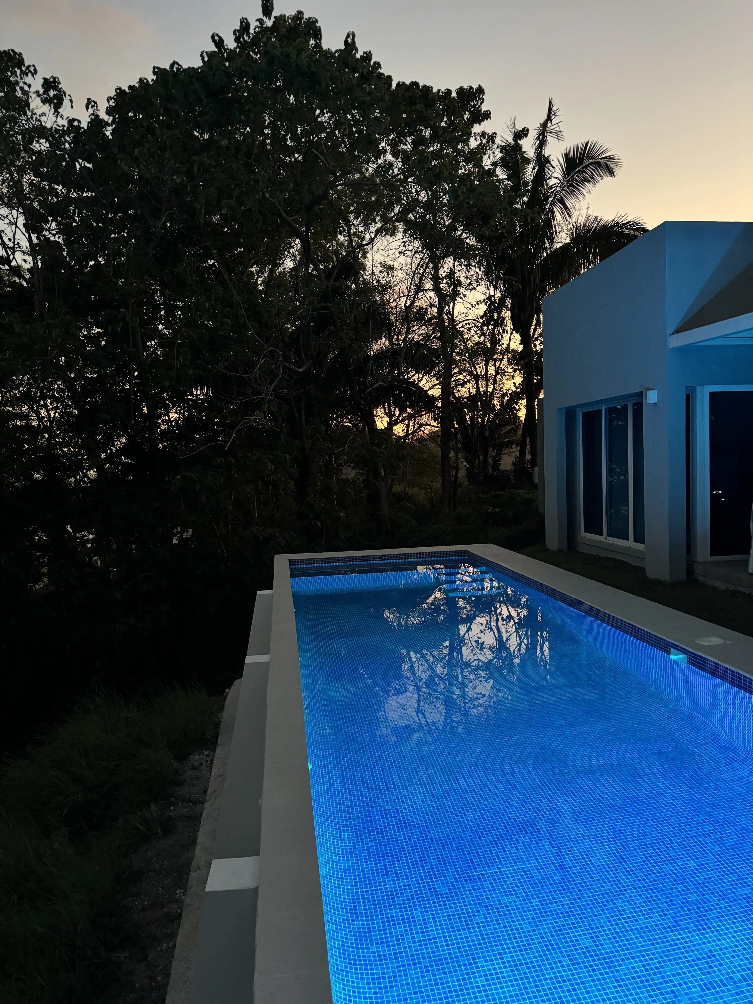 Nighttime Swim