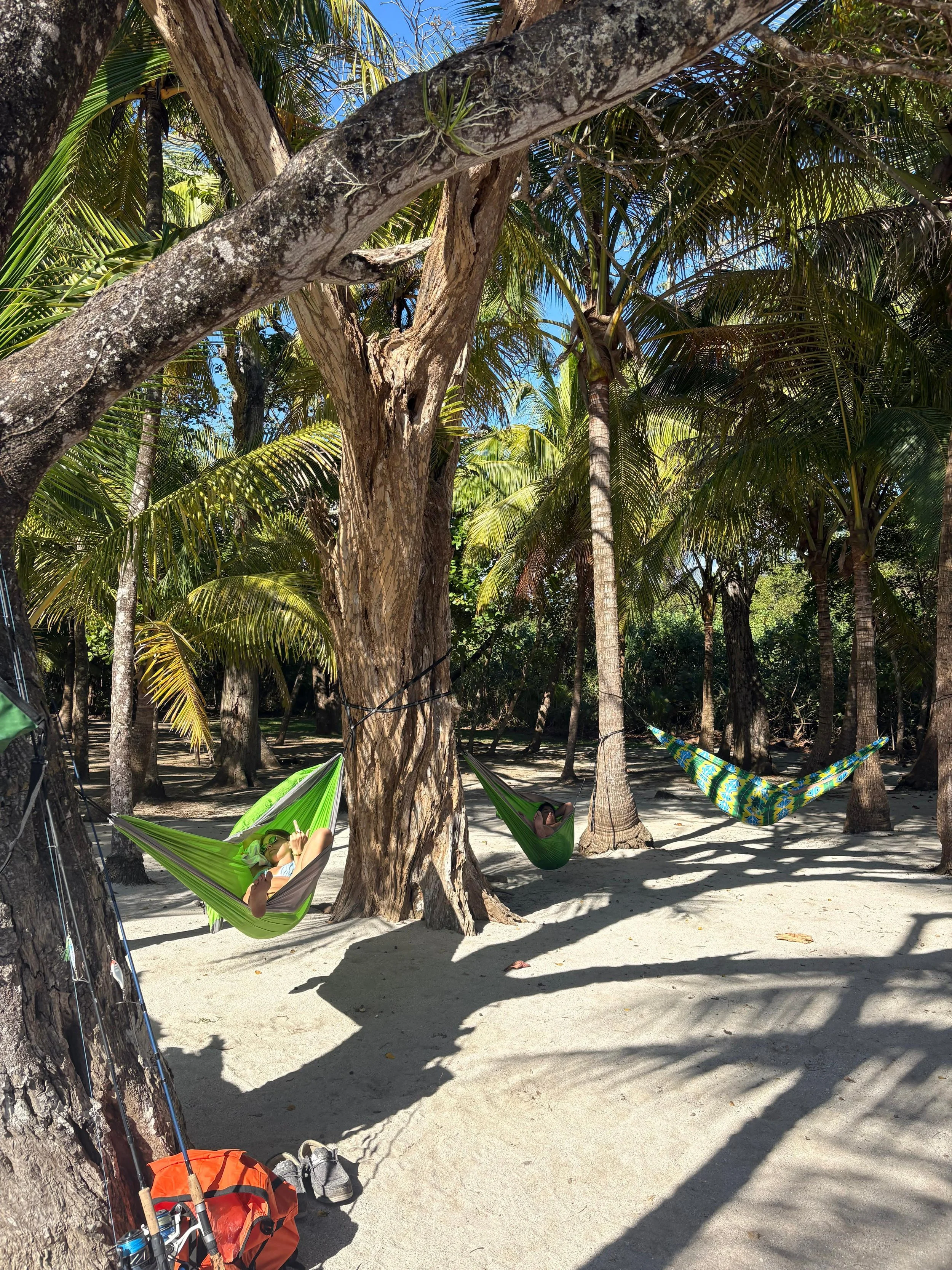 Hammocks on a nearby beach