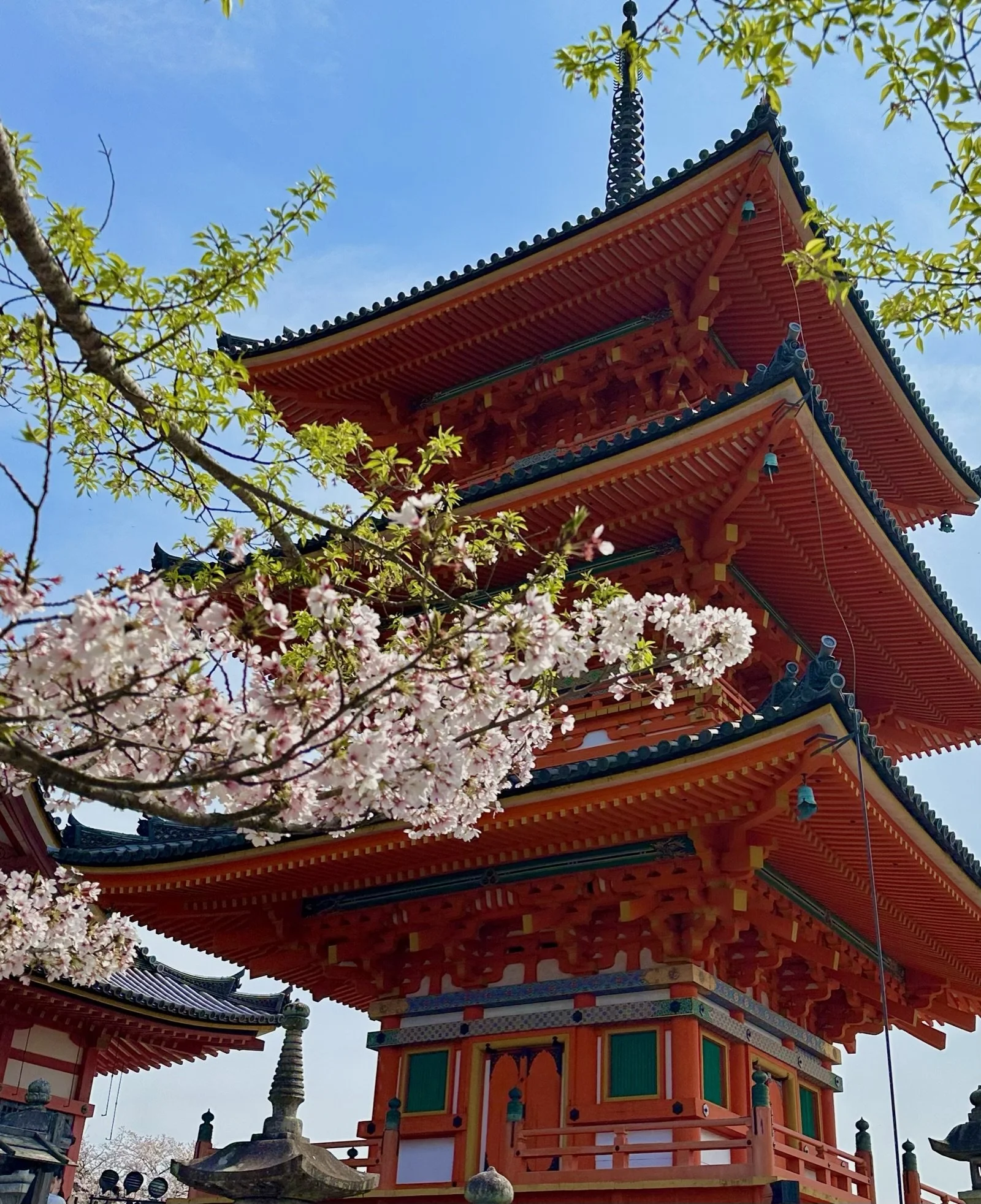 Japan: Culture Meets Adventure