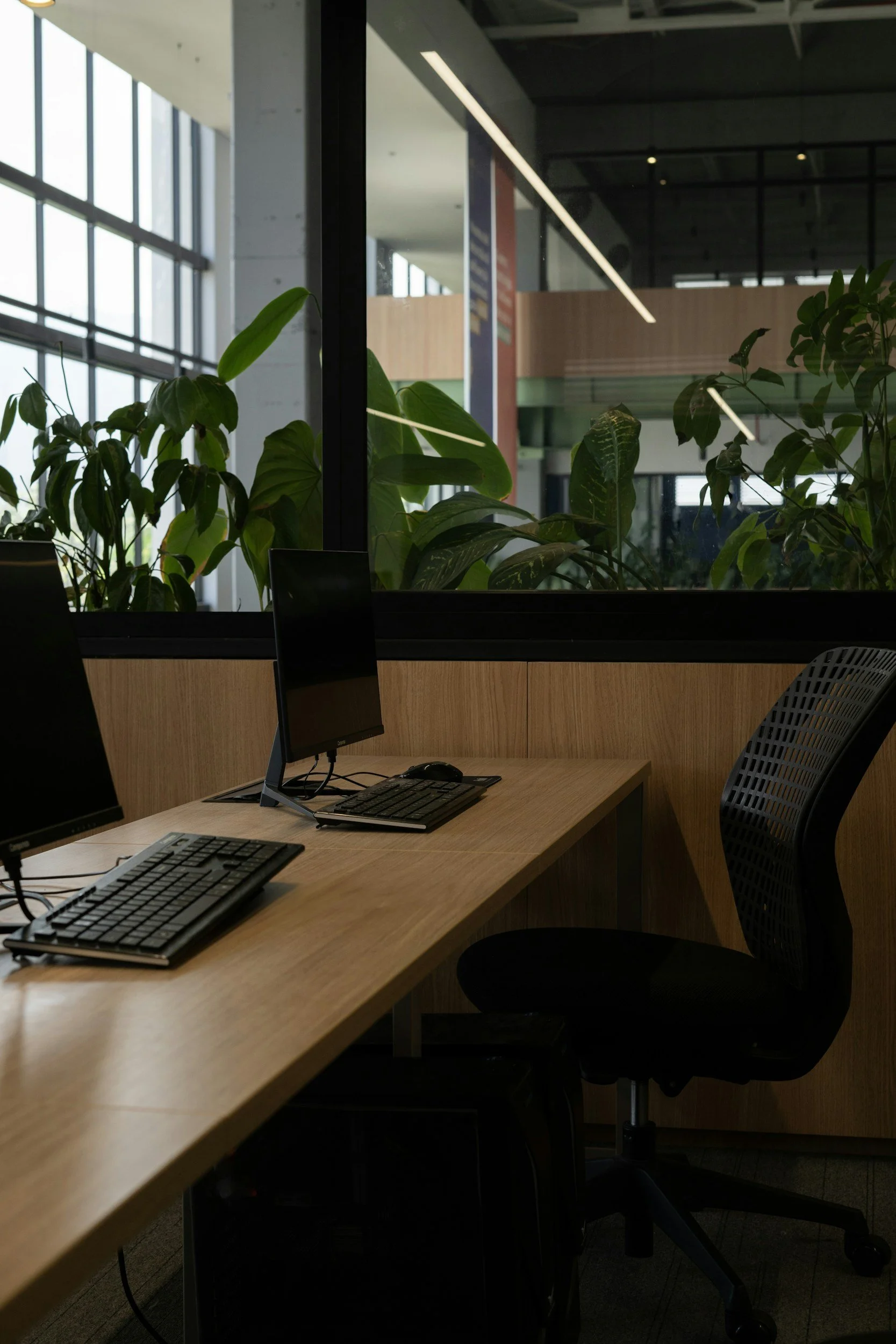 An office workspace with a wooden desk, dual computer monitors, a keyboard, and a mouse. There are green plants on the window sill and large windows letting in natural light. The background features modern design elements and an open space.