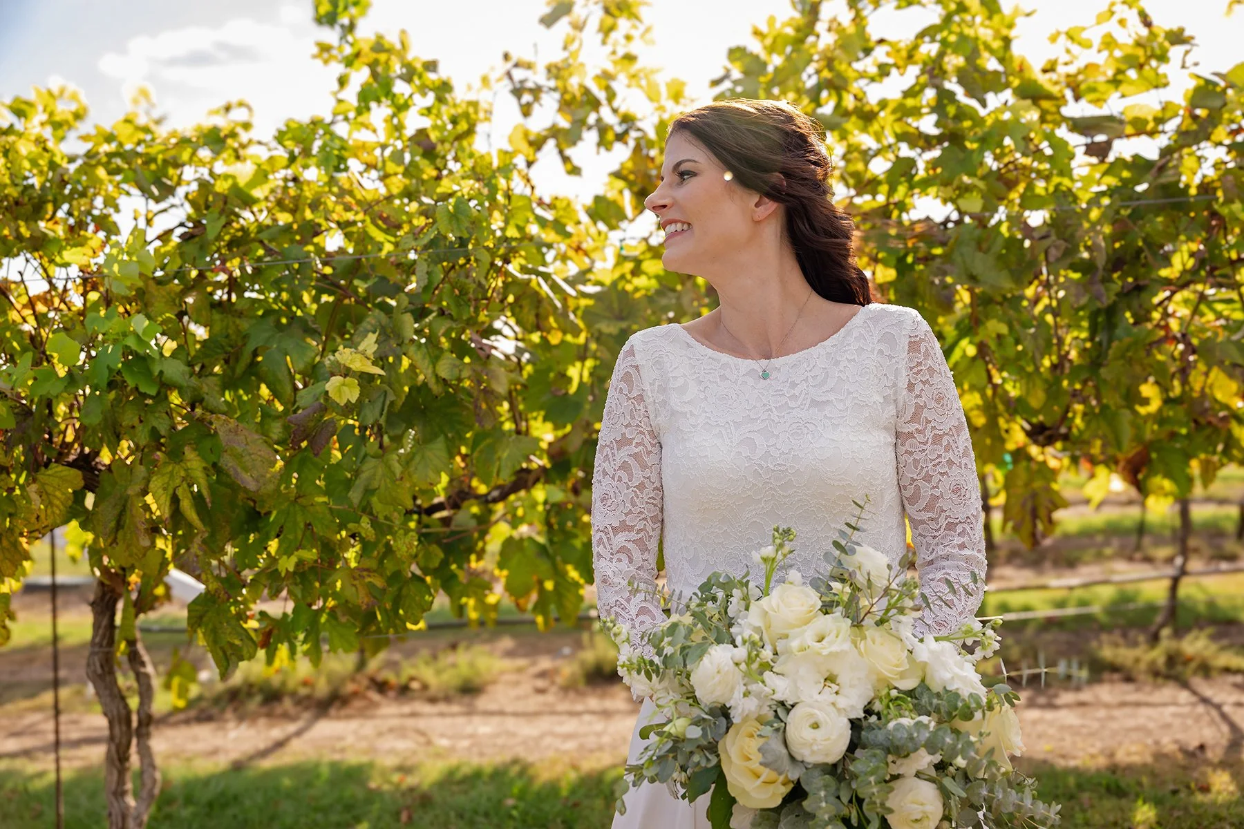Bride in a lace wedding dress holding a white floral bouquet among sunlit grapevines at Valley Mills Vineyards near Waco, Texas.