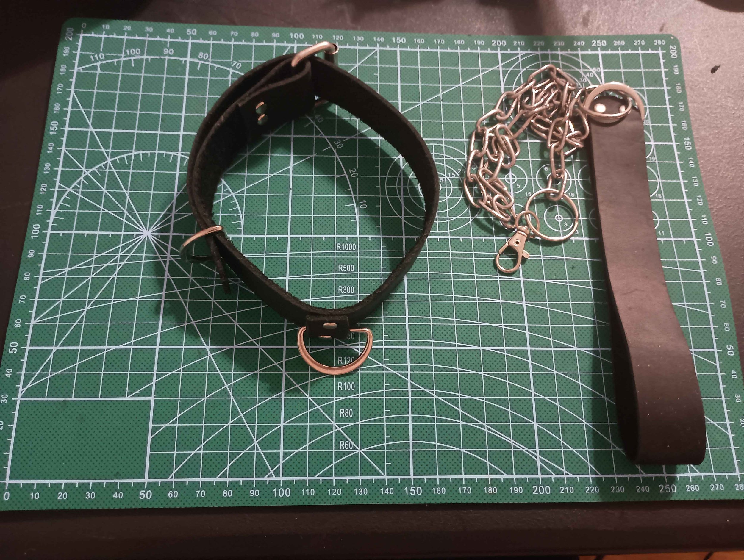 D-Ring Choker Necklace with Leash