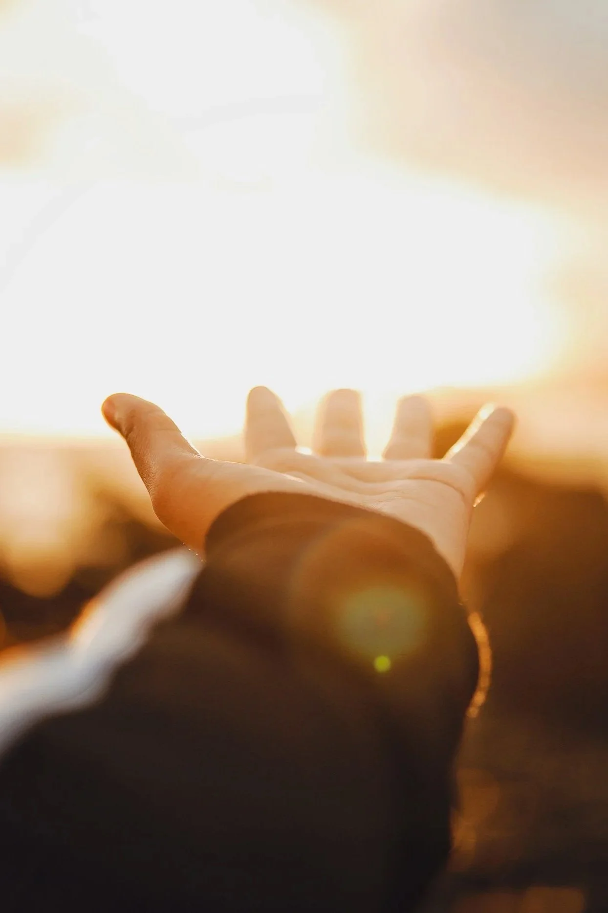 Connect with us at Palm House if you or someone you know is struggling with addiction. 916.547.6552