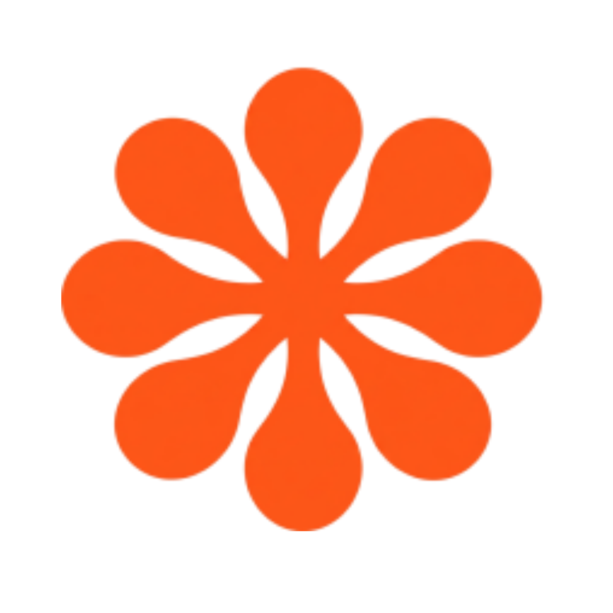 Orange flower with five rounded petals on a black background