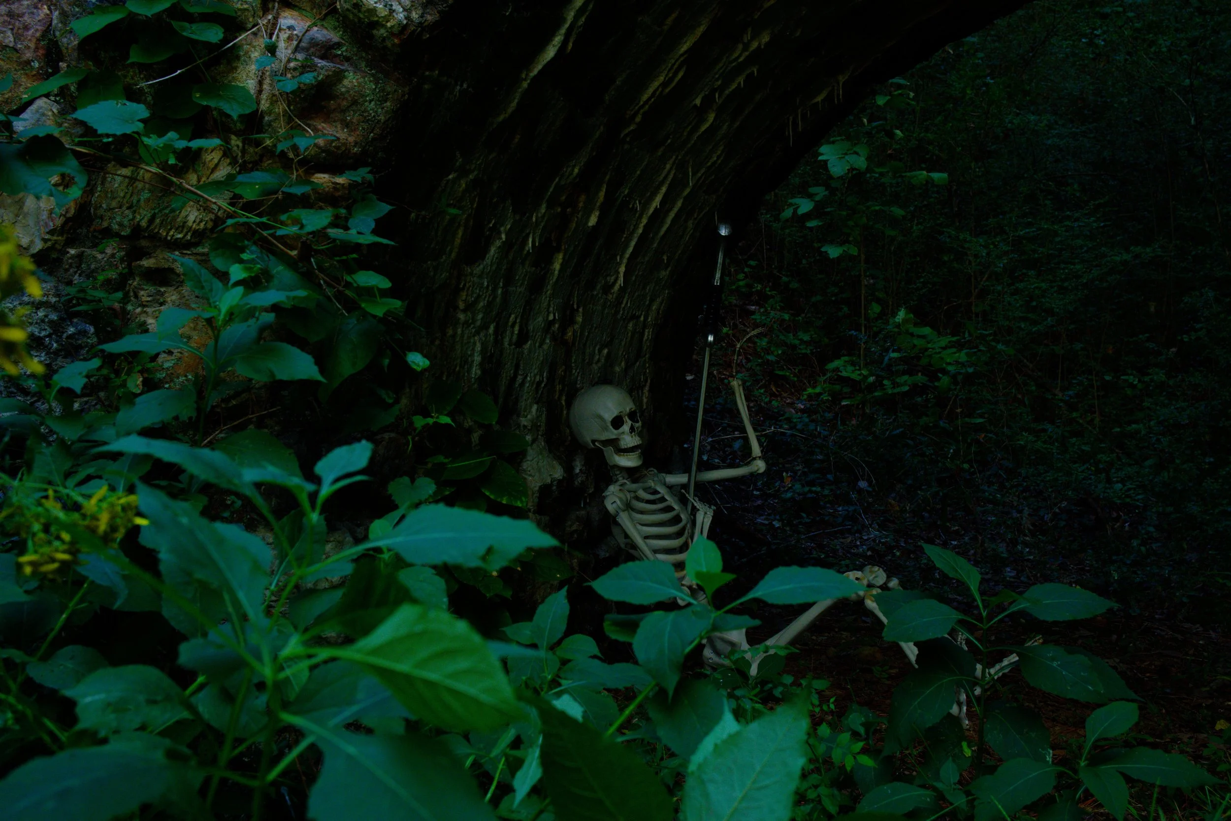 DSCF3209.jpg