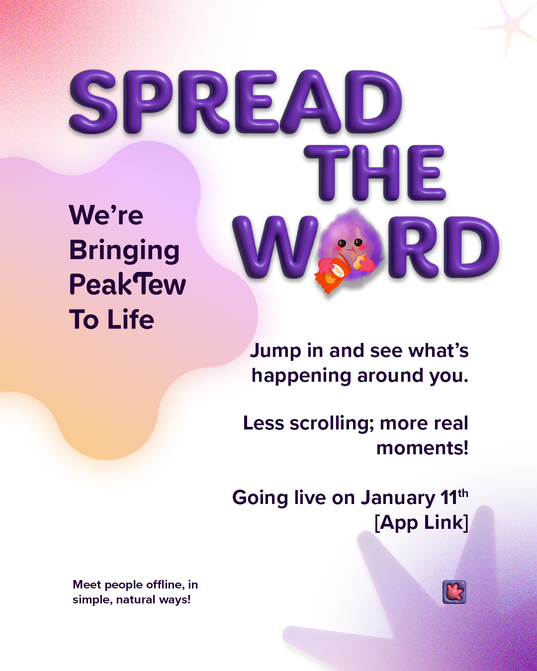 Email Campaign