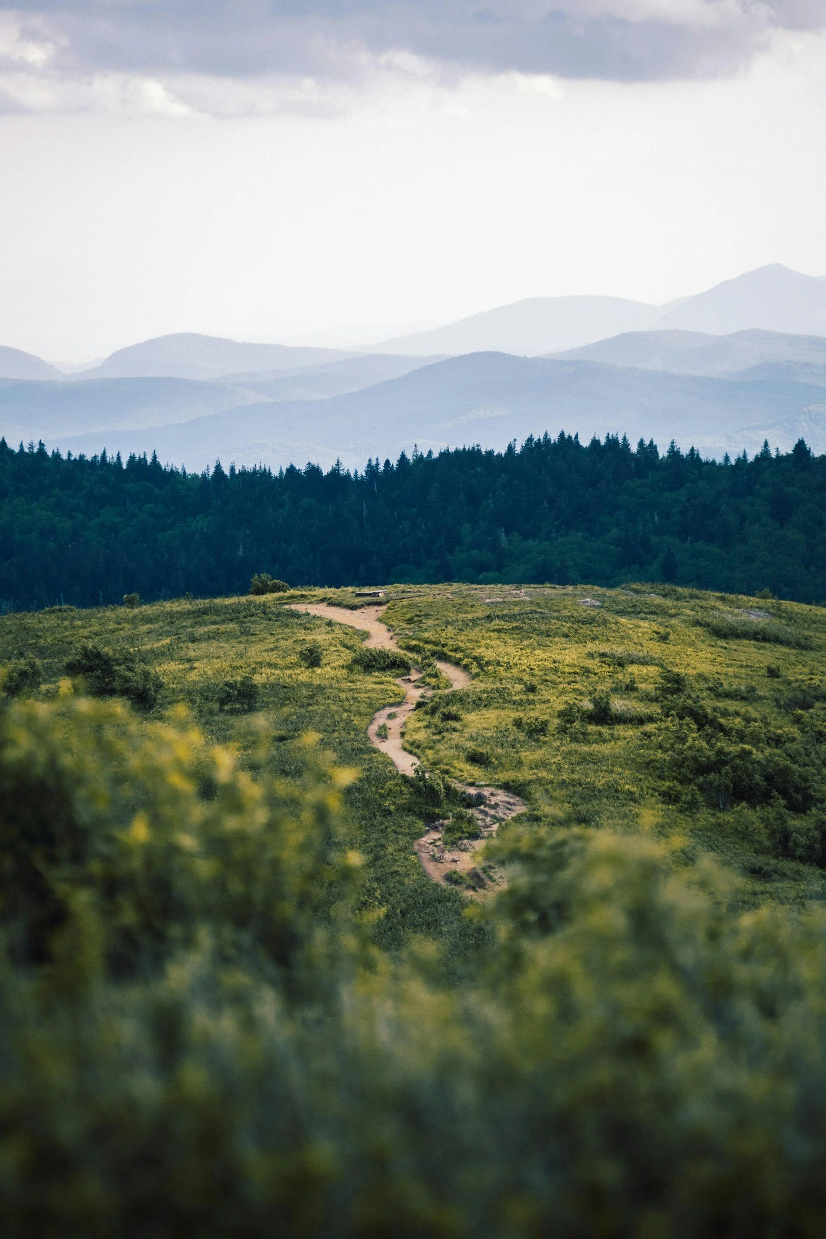 A scenic view of a winding dirt trail through lush green grass, leading toward distant layered mountains under a cloudy sky.