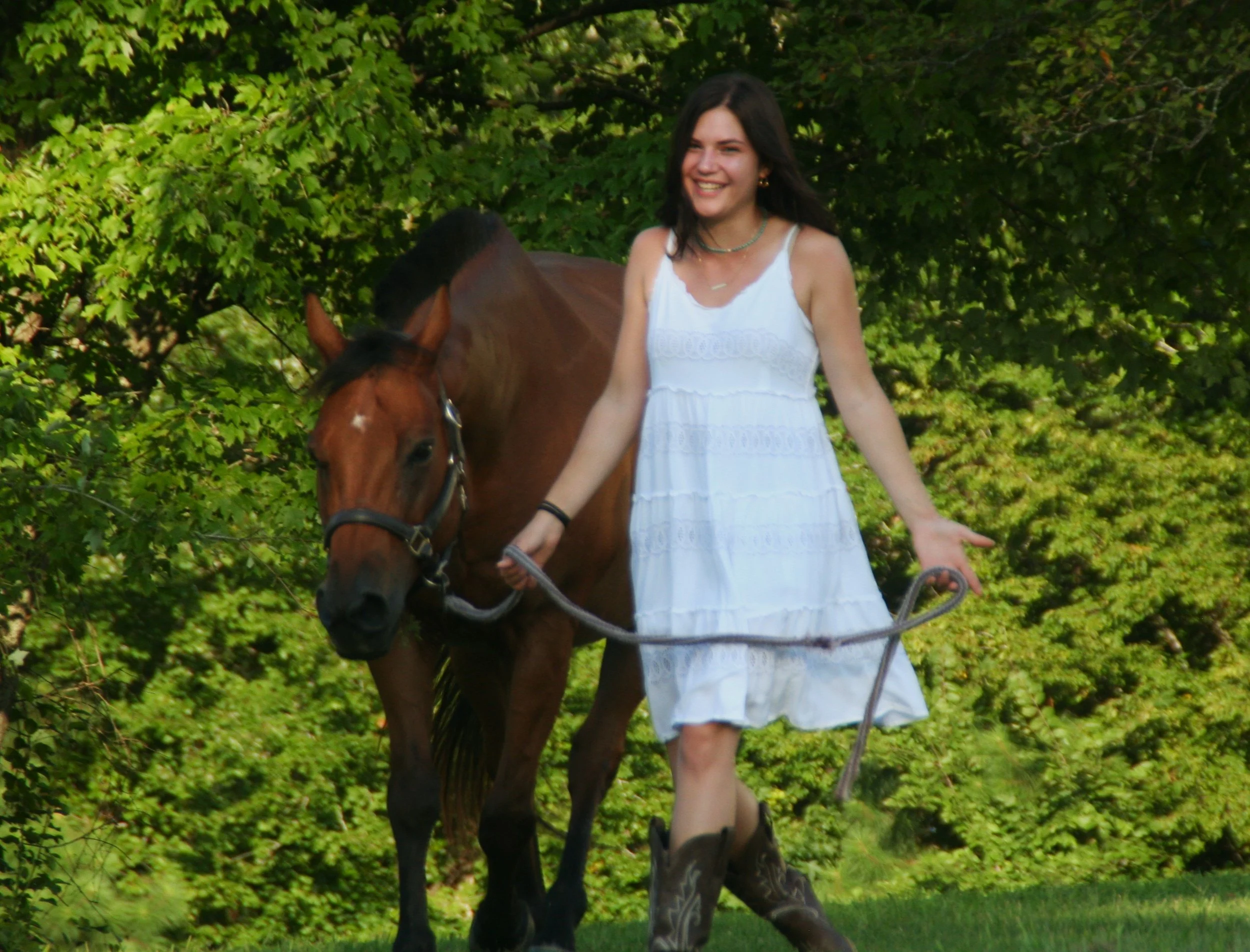 Equine Photograghy