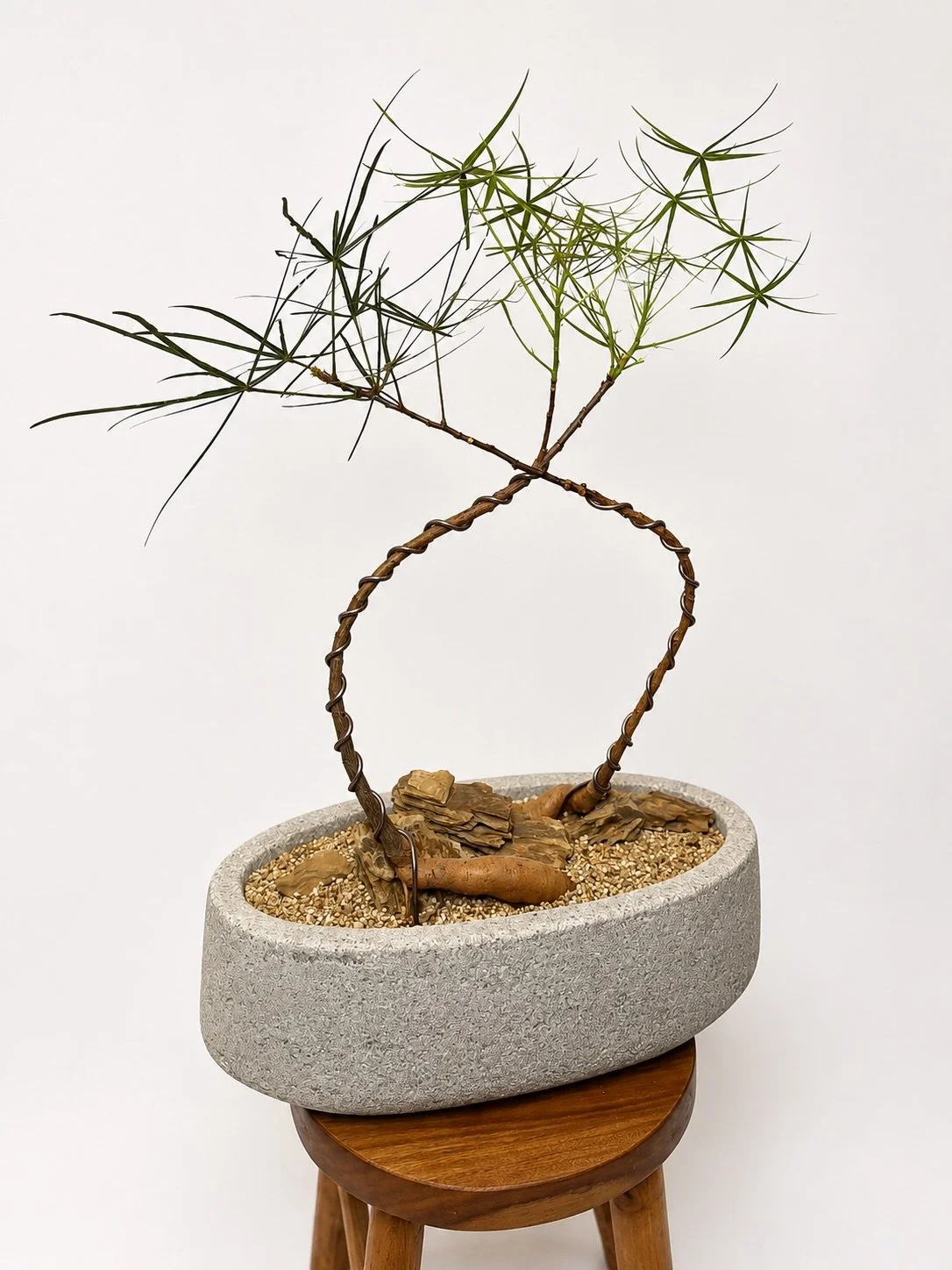 Two Mirrored Australian Bottle Trees

A study in harmony and balance, this one-of-a-kind composition features two carefully selected Australian Bottle Trees whose naturally similar forms mirror one another in a sculptural embrace. Their elegantly cur