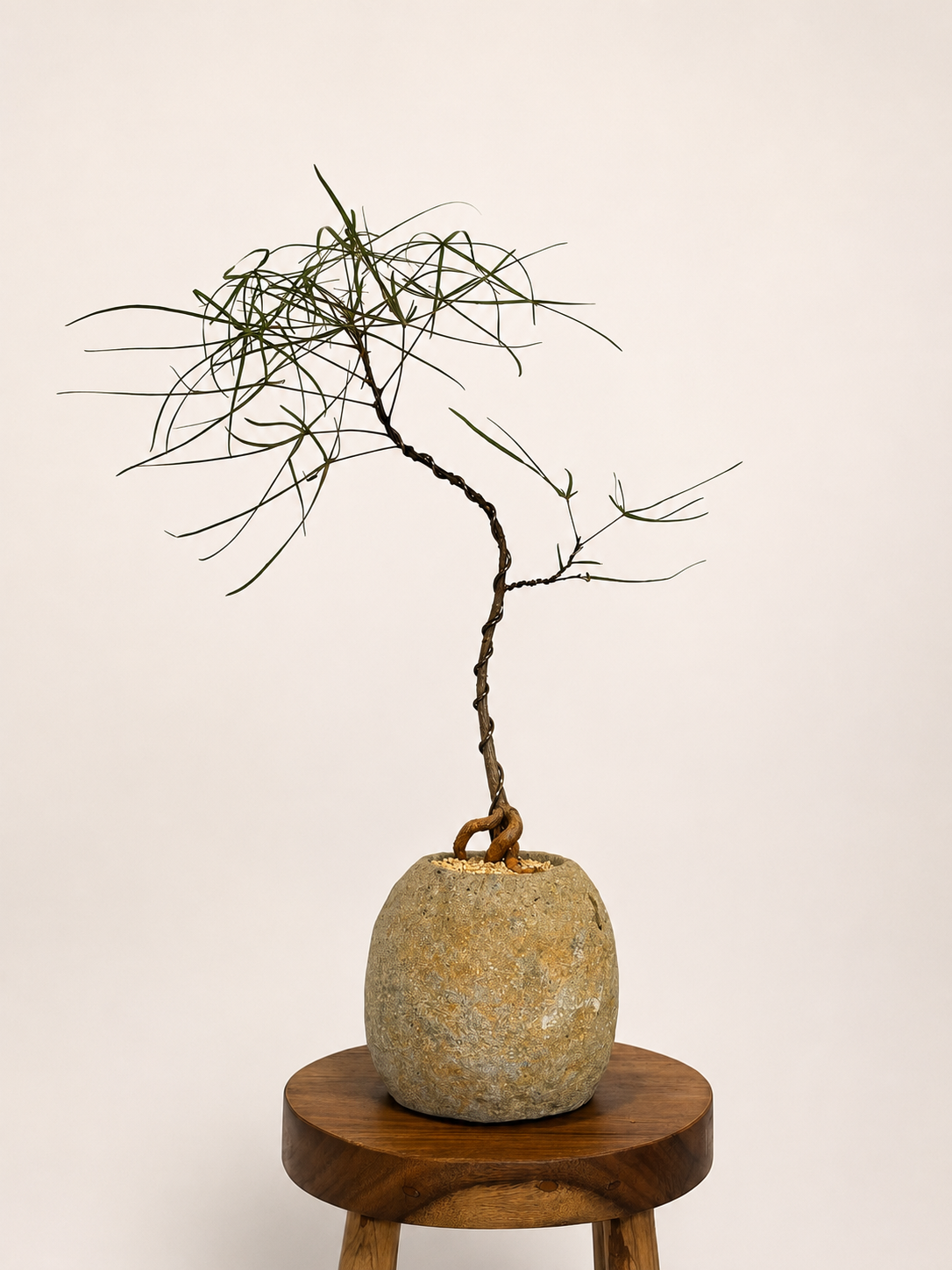 Primitive Vessel + Bottle Tree 006