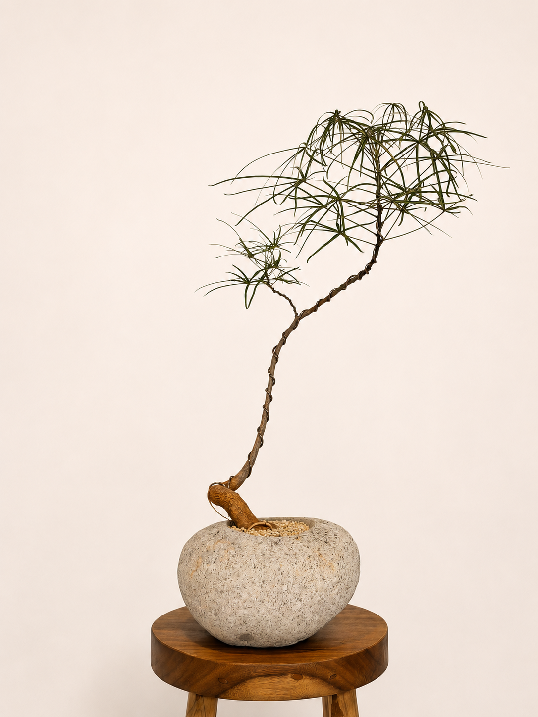 Primitive Vessel + Bottle Tree 004