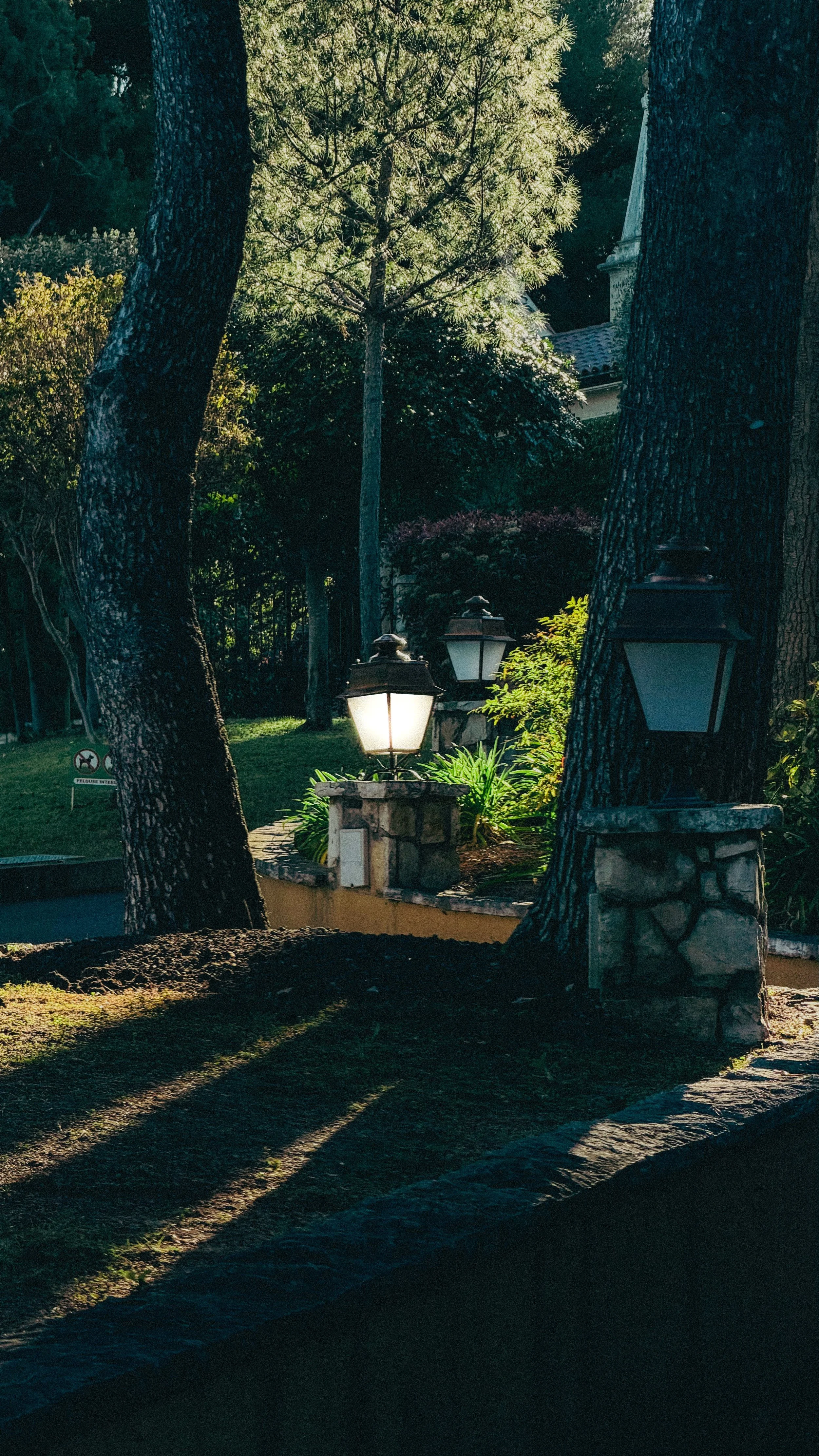 Sunset-lit garden scene with trees, a stone wall, and lanterns.