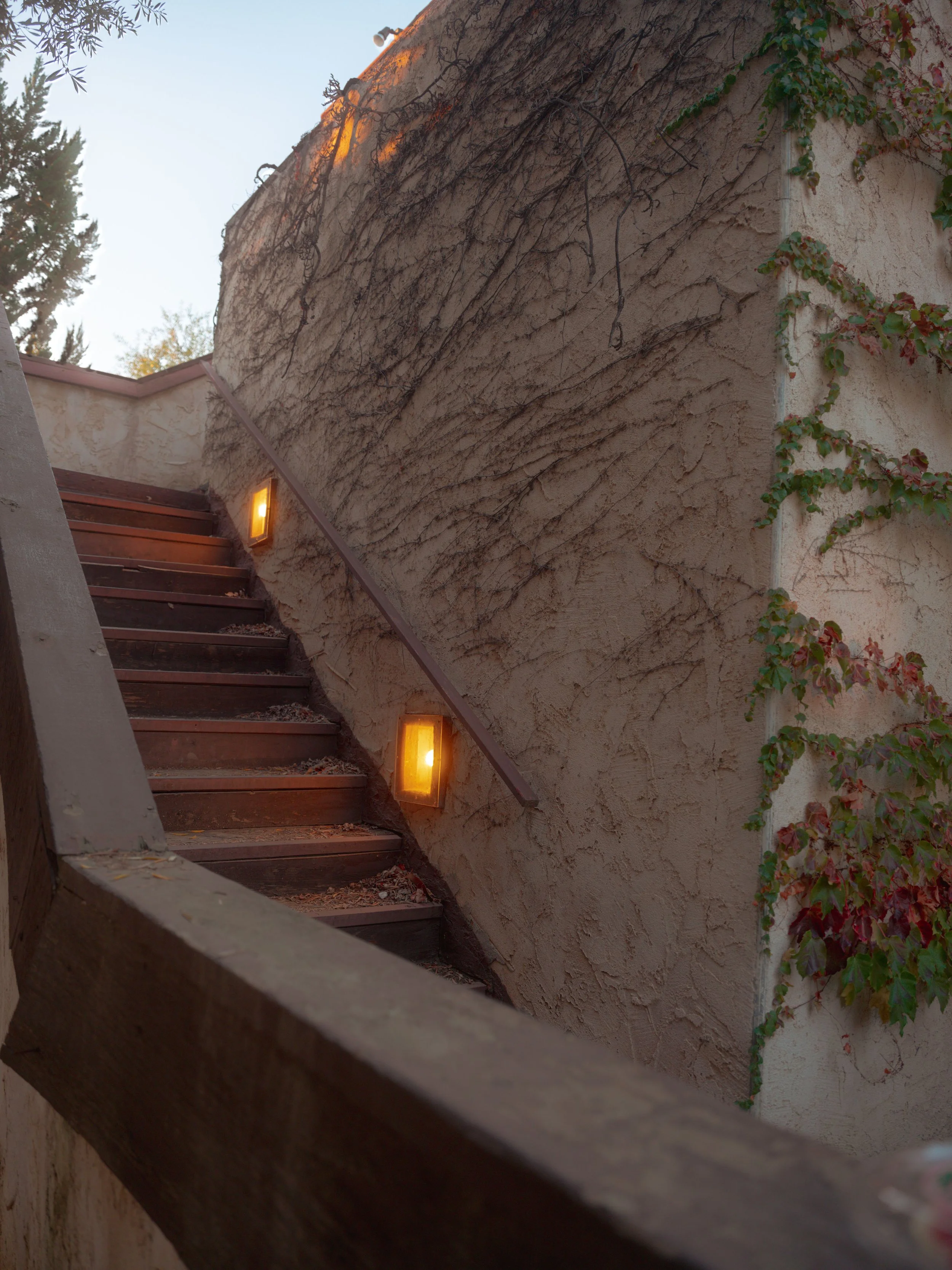 Exterior view of a staircase with four steps climbing up a textured beige stucco wall. The staircase is illuminated by two rectangular yellow wall lights. A vertical strip of green and reddish leaves climbs along the wall on the right, and a small portion of trees with green foliage is visible in the background at the top of the image.