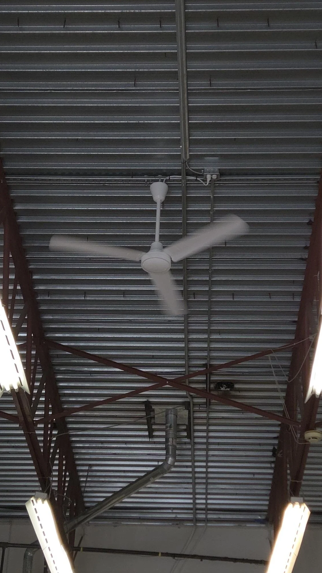 Ceiling with a white ceiling fan, metal beams, and fluorescent lights.